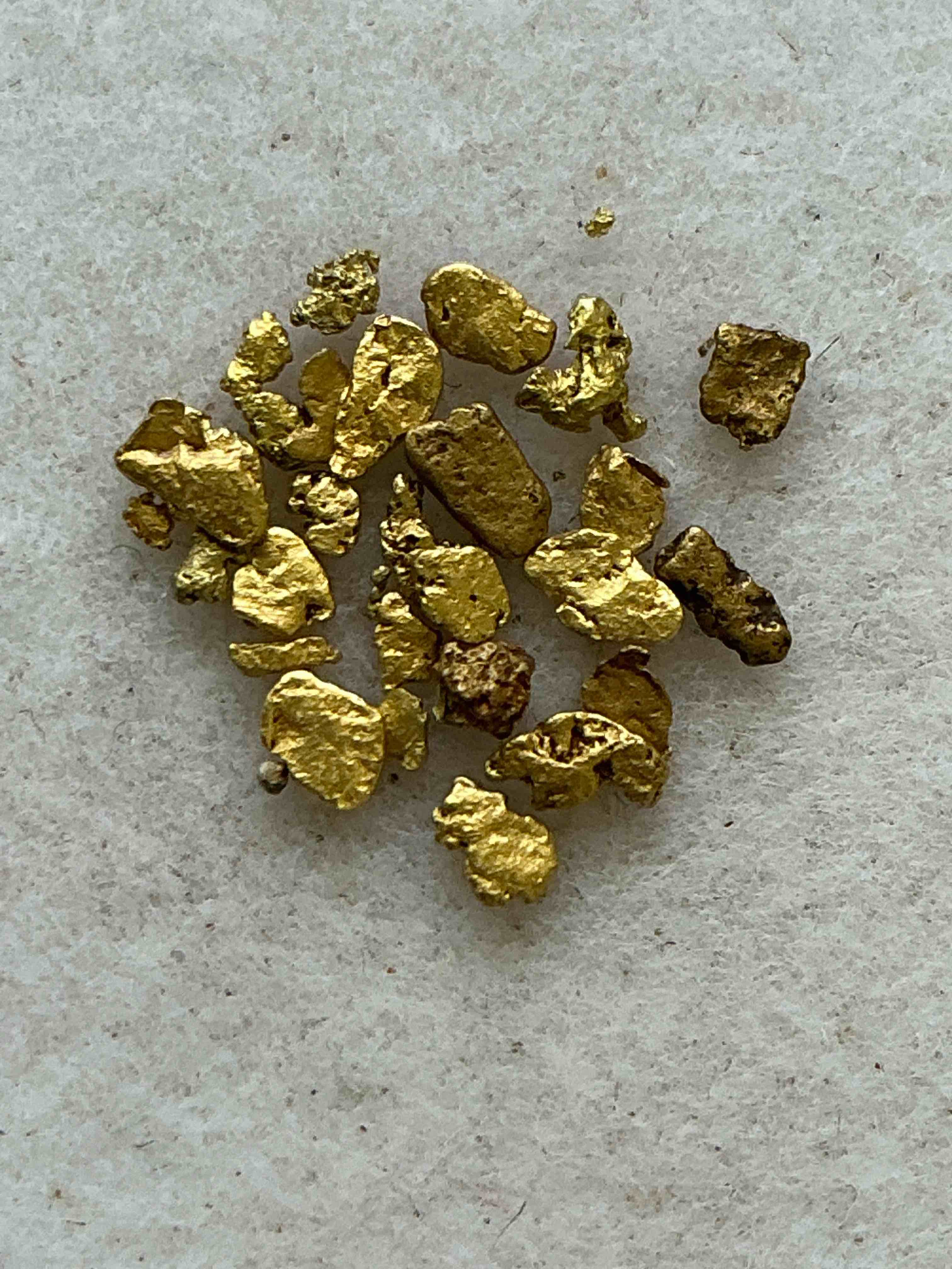 Collector’s Dream! Gold, Silver, Sports Cards, Pokemon & More!