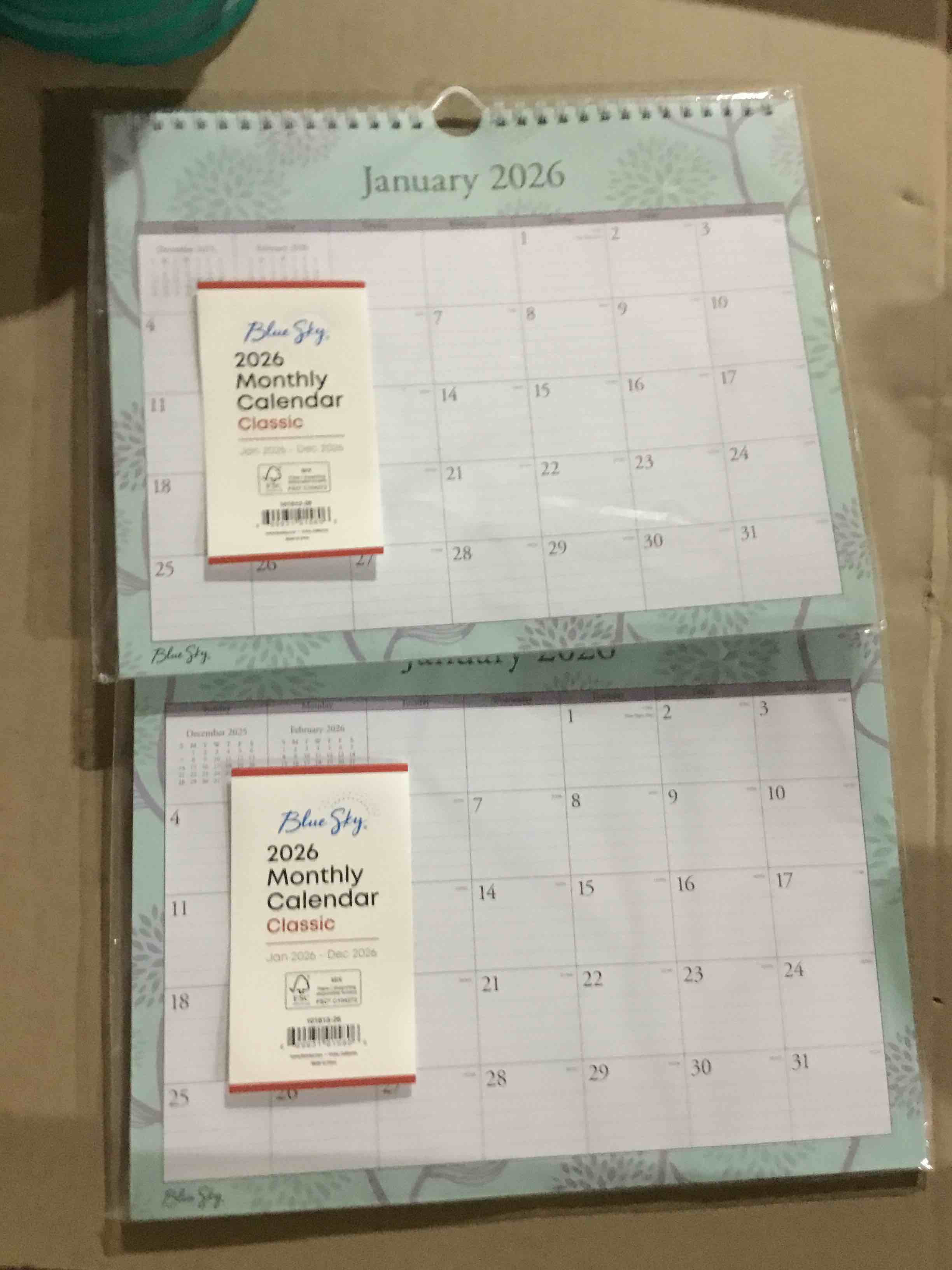 2026 Blue Sky Monthly Wall Calendar, 11" x 8-3/4", Rue Du Flore, January to December, 101613