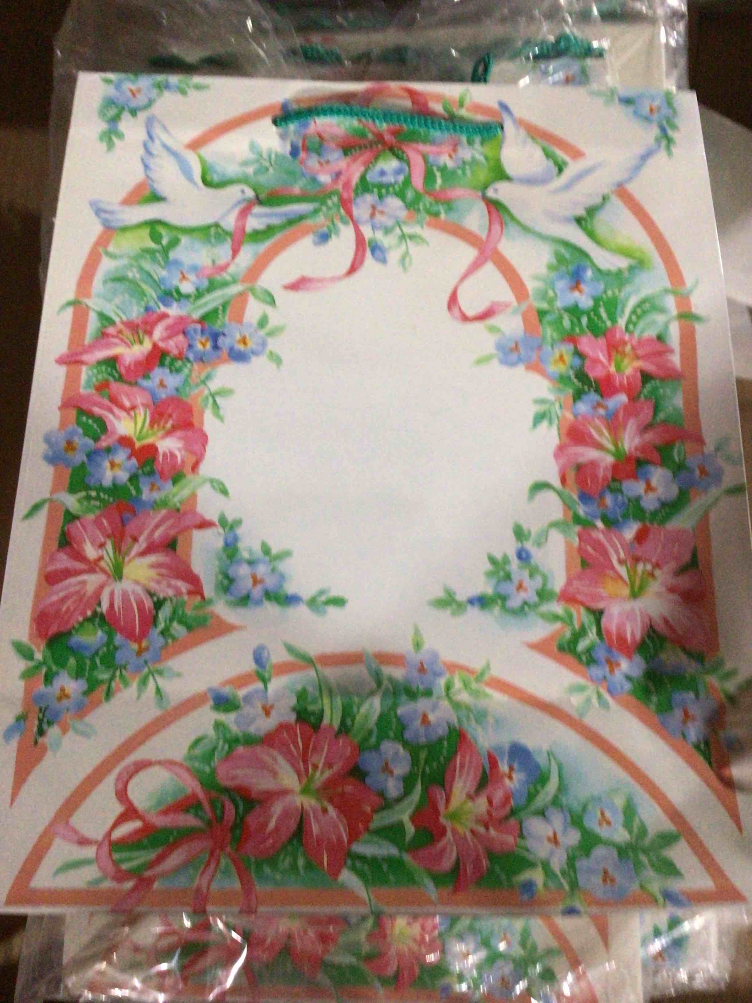Condition photo showing New/Like New for Gift bag with floral des and pigeon 