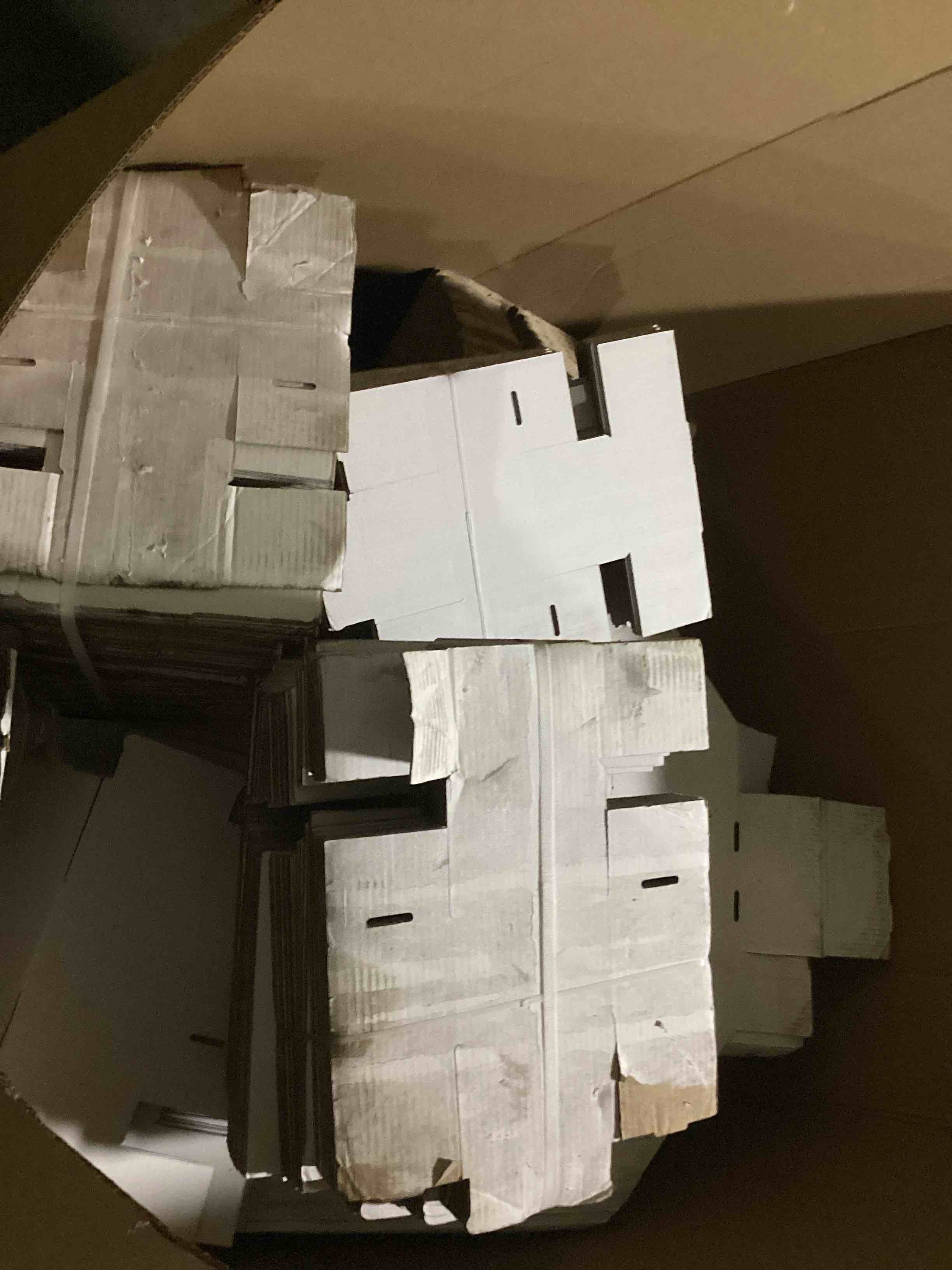 https://s3.amazonaws.com/lotting-images-prod/bidfta/BRN4048116_1789564638755.jpeg