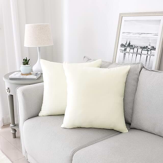 NiNi ALL Decorative Throw Pillow Covers Velvet 16x16 Inch Pack of 2 White Cushion Covers Soft for Couch Sofa Bedroom Living Room Outdoor