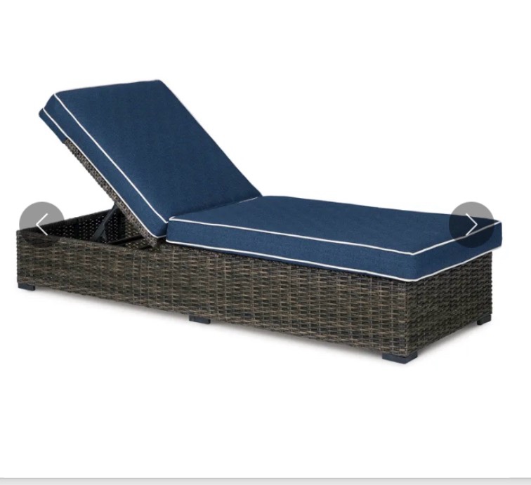 Grasson Lane Chaise Lounge with Cushion