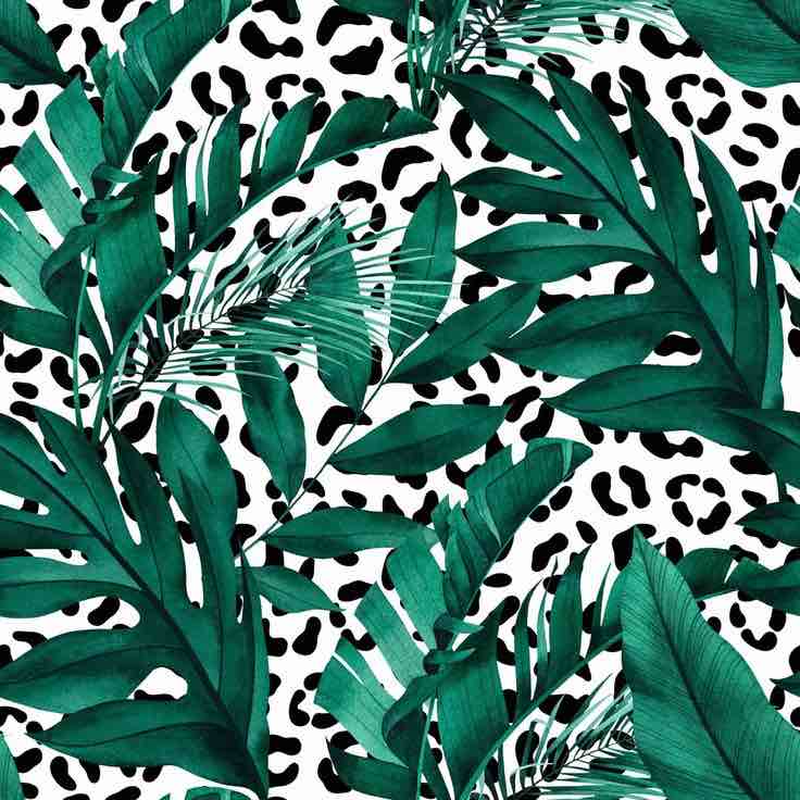 image " Tropical Seamless Pattern With Exotic Monstera " by Evgeniya Ivanova