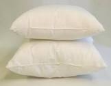 pillow insert 23” x 23” set of 2