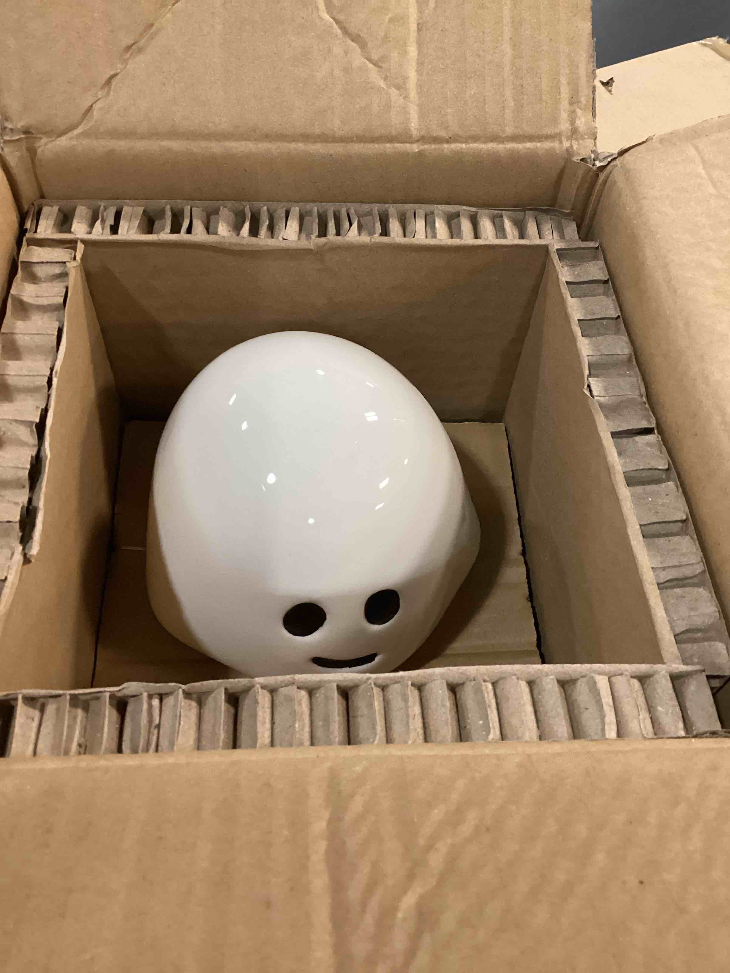 https://s3.amazonaws.com/lotting-images-prod/bidfta/BRN4859533_1777641497713.jpeg