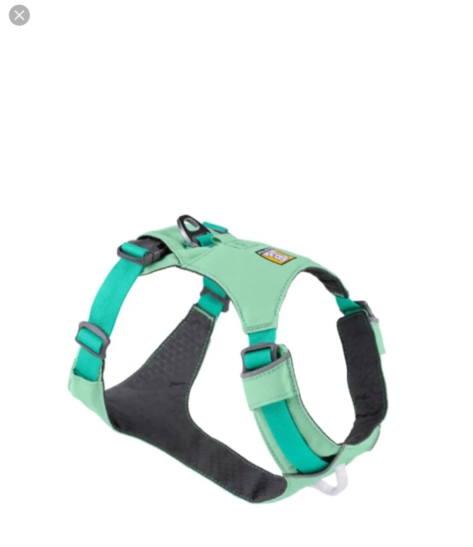 ruffwear dog harness cyan xx-small