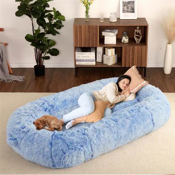 Large Dog Bed Blue 