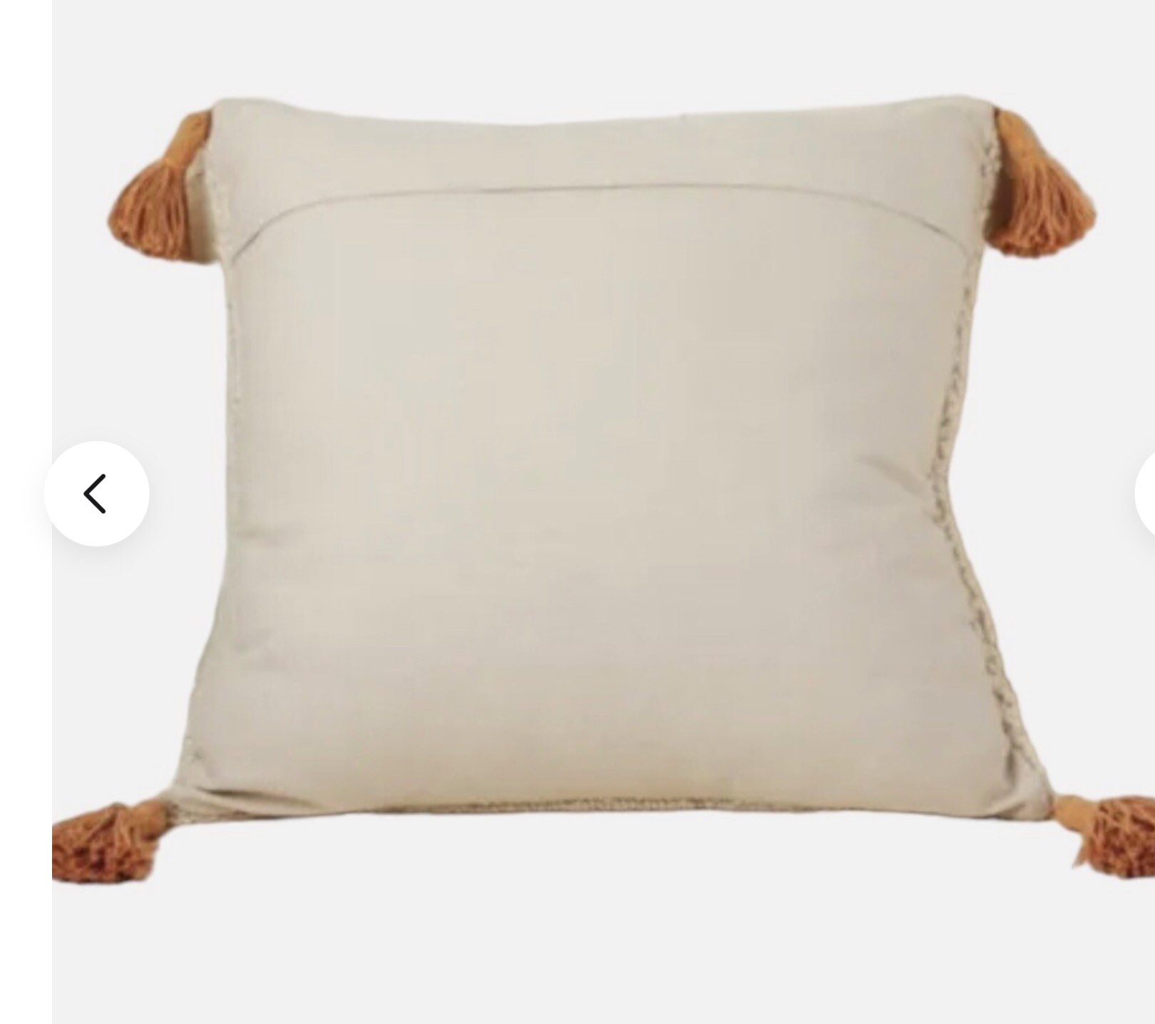 WGH G103 Aulene Tasseled Throw Pillow 22x22  Set of 2 