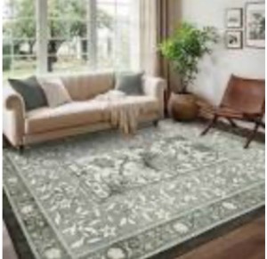 Indoor Area Rug Big 