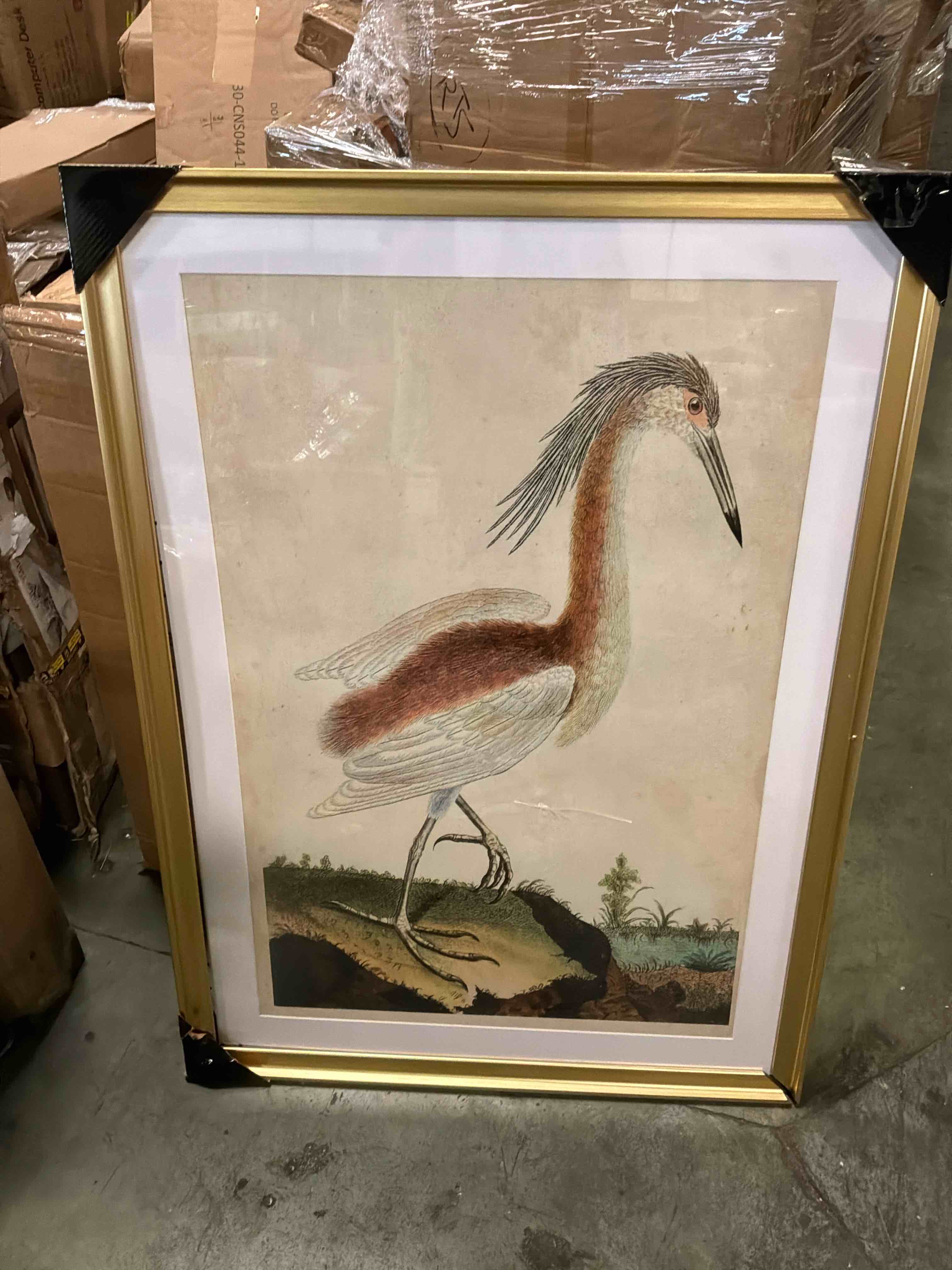 Condition photo showing Good Condition for heron portrait iii "