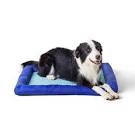 Heart & Herd Rectangular Star-Spangled Polyester Bolster Dog Bed ( Medium )