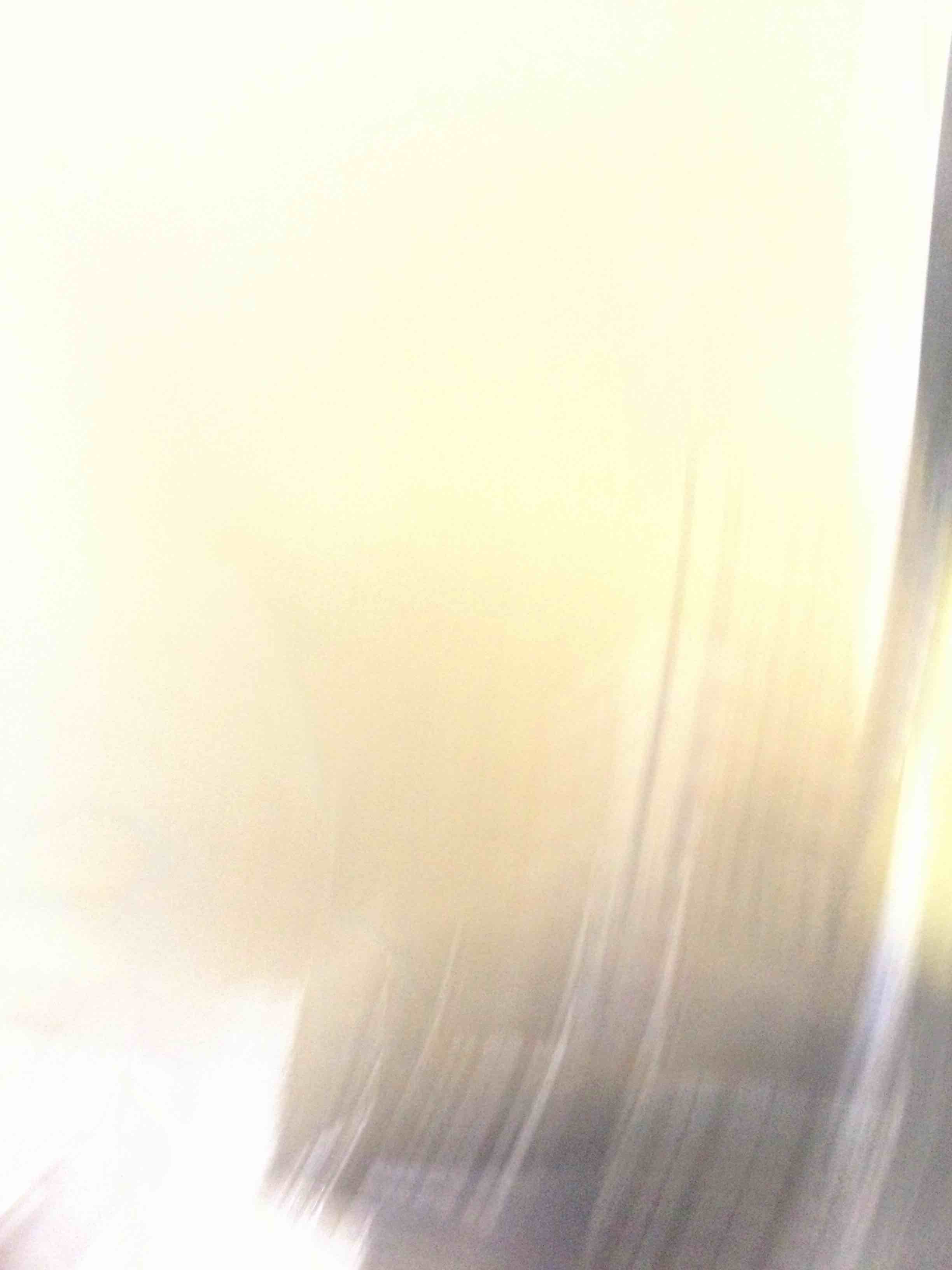https://s3.amazonaws.com/lotting-images-prod/bidfta/EXS00253438_1686140327208.jpeg