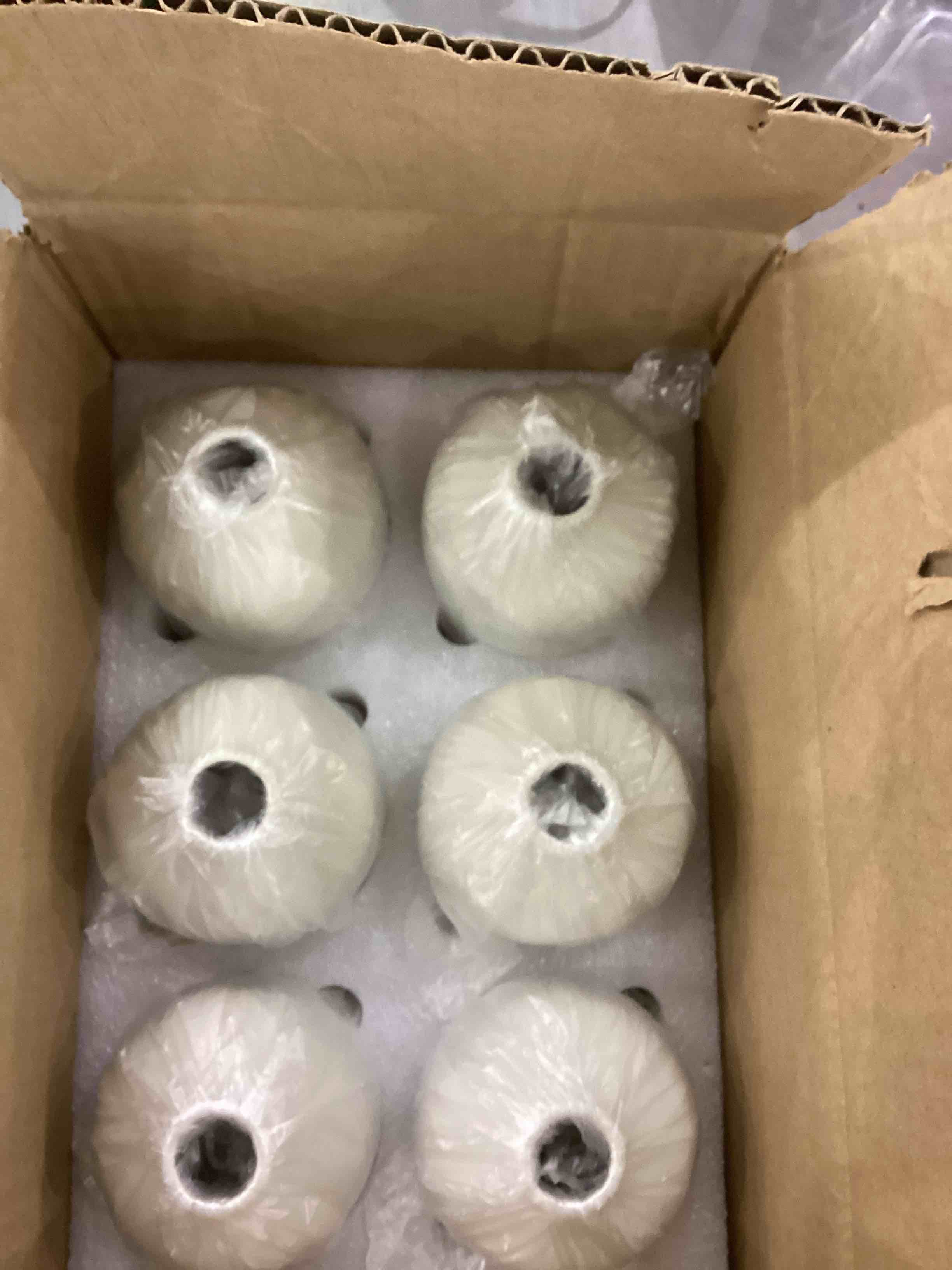 YANLING Small White Vase for Decor, 6 Pack Ceramic Vases for Pampas Grass, Boho Vase for Home Decor White Vases for Flowers, Modern Ceramic Vase, Dried Flowers Vases