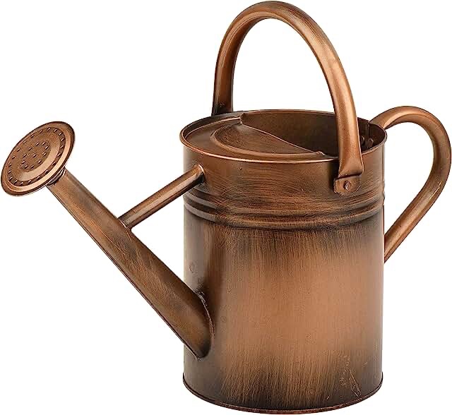 Metal Watering Can for Outdoor and Indoor Plants, Watering Can Decor, 1 Gallon (1 Gallon Copper)