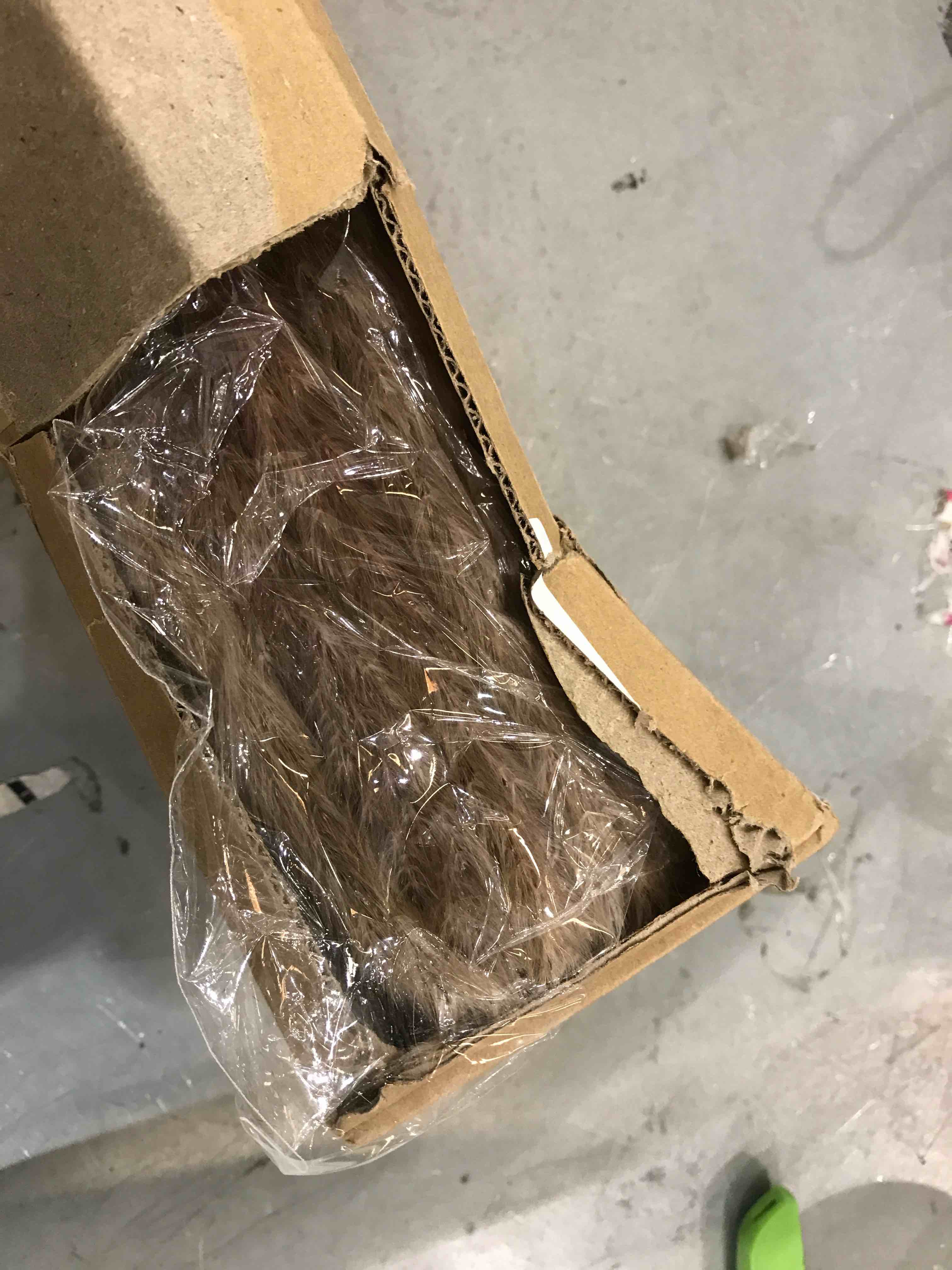 https://s3.amazonaws.com/lotting-images-prod/bidfta/EXS00332278_1689347121114.jpeg