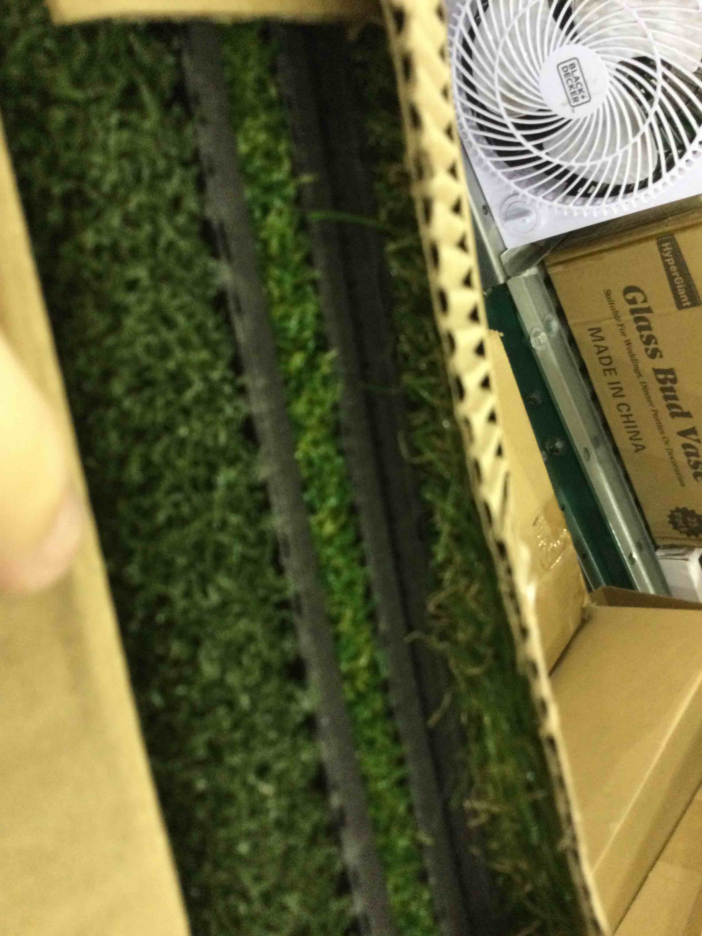 https://s3.amazonaws.com/lotting-images-prod/bidfta/EXS00352970_1689940356460.jpeg