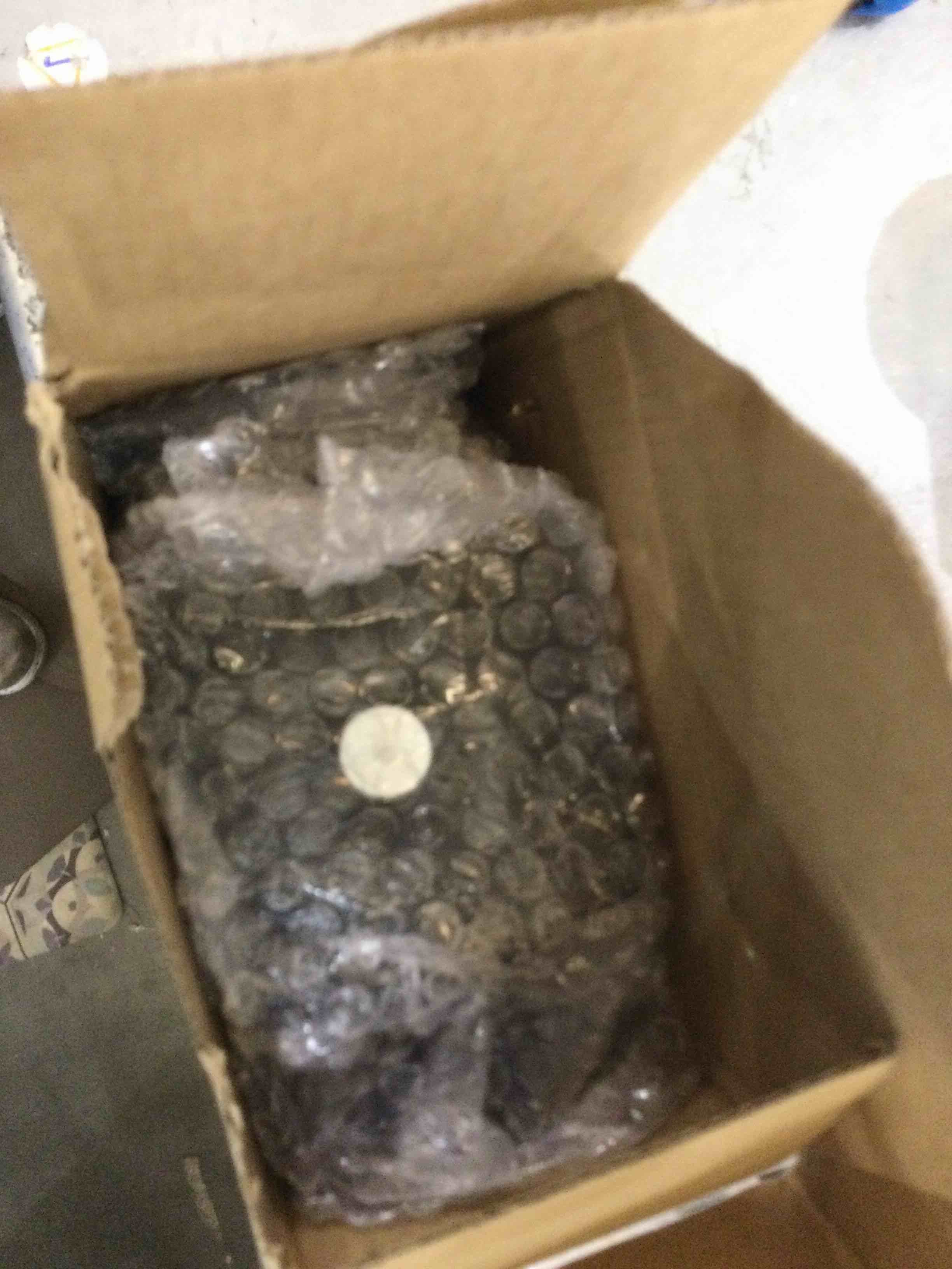 https://s3.amazonaws.com/lotting-images-prod/bidfta/EXS00395901_1691593576920.jpeg