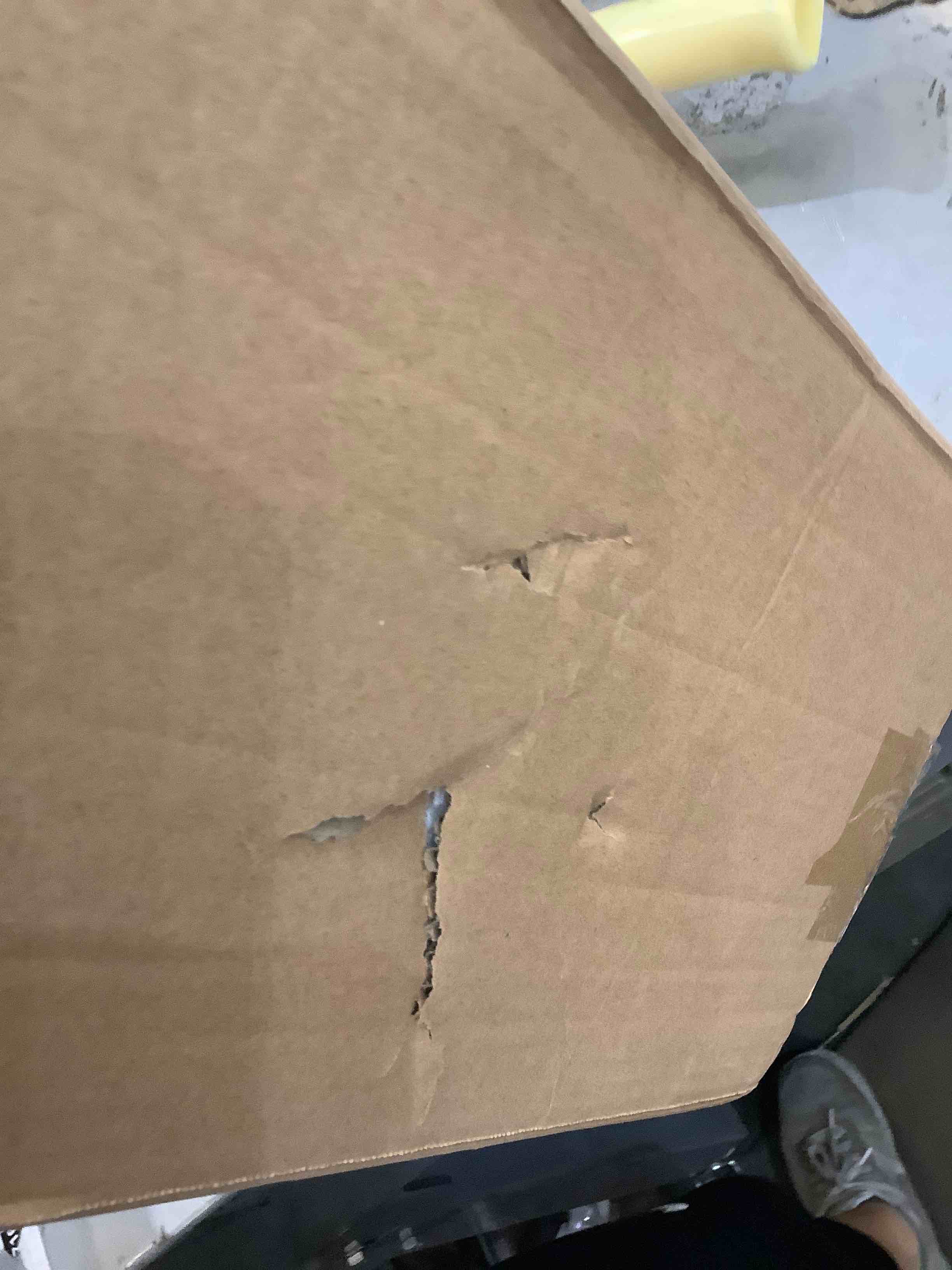 https://s3.amazonaws.com/lotting-images-prod/bidfta/EXS00400092_1693939324431.jpeg