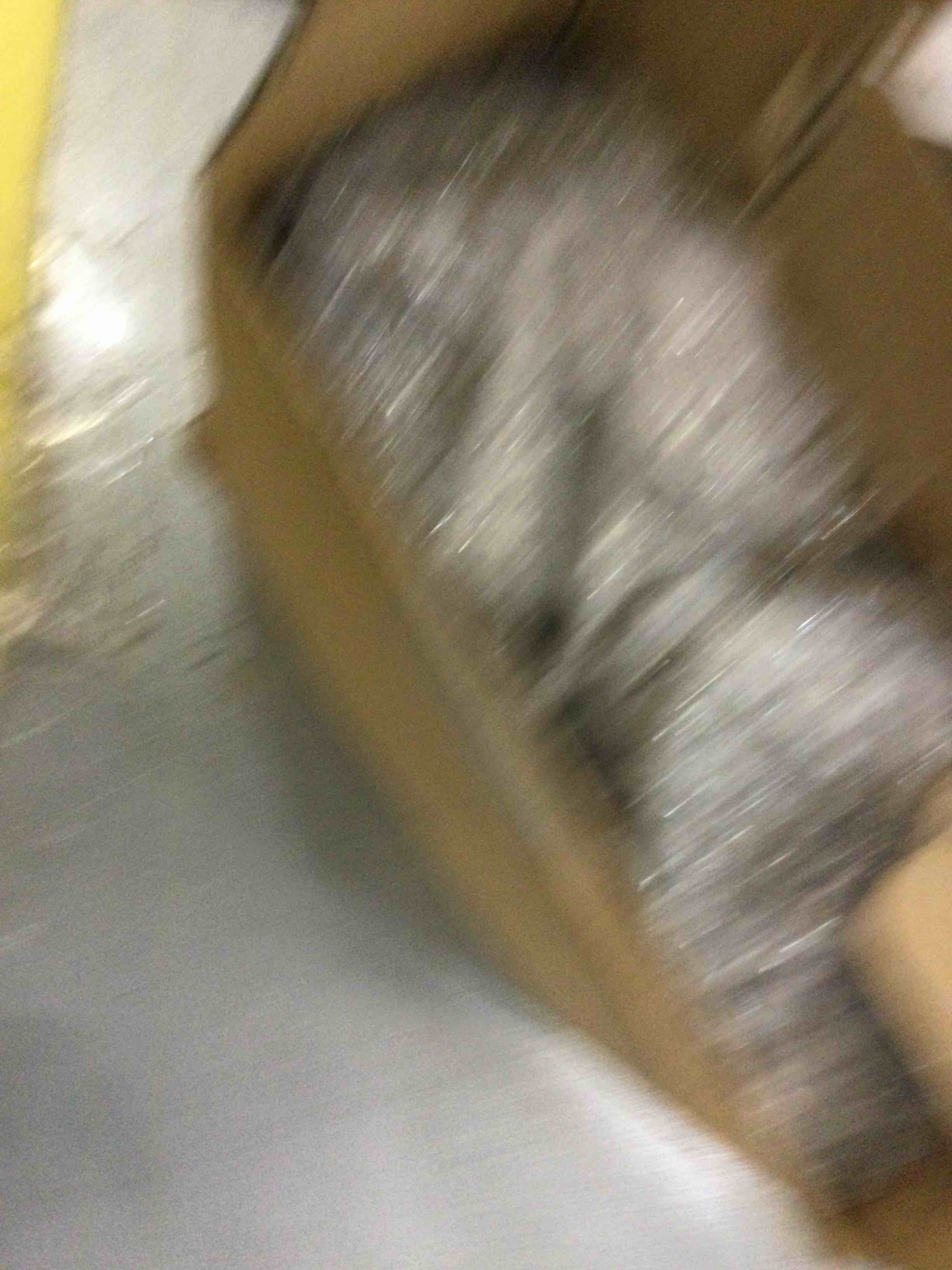 https://s3.amazonaws.com/lotting-images-prod/bidfta/EXS00464061_1695056551358.jpeg
