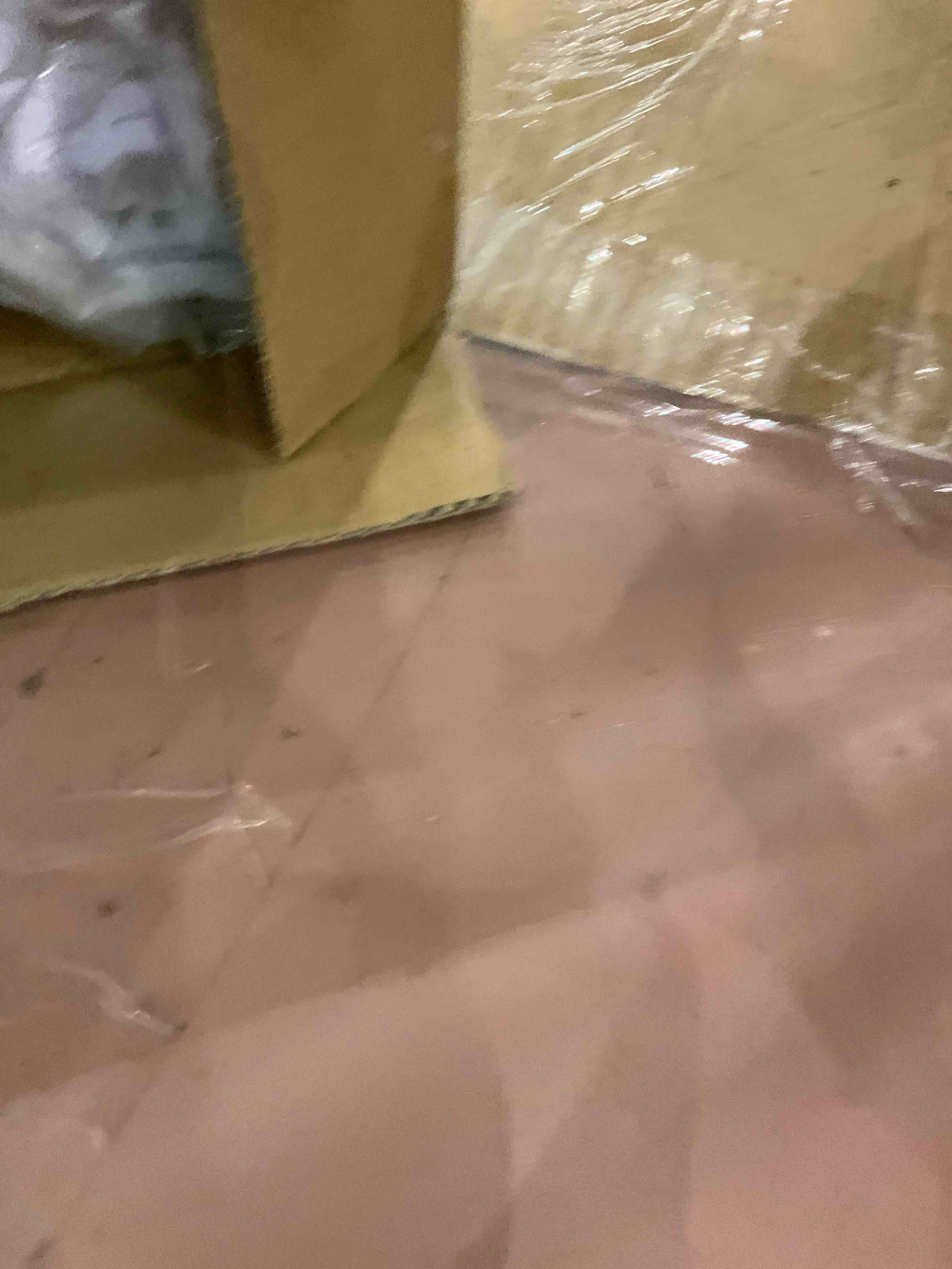 https://s3.amazonaws.com/lotting-images-prod/bidfta/EXS00502661_1698151899501.jpeg