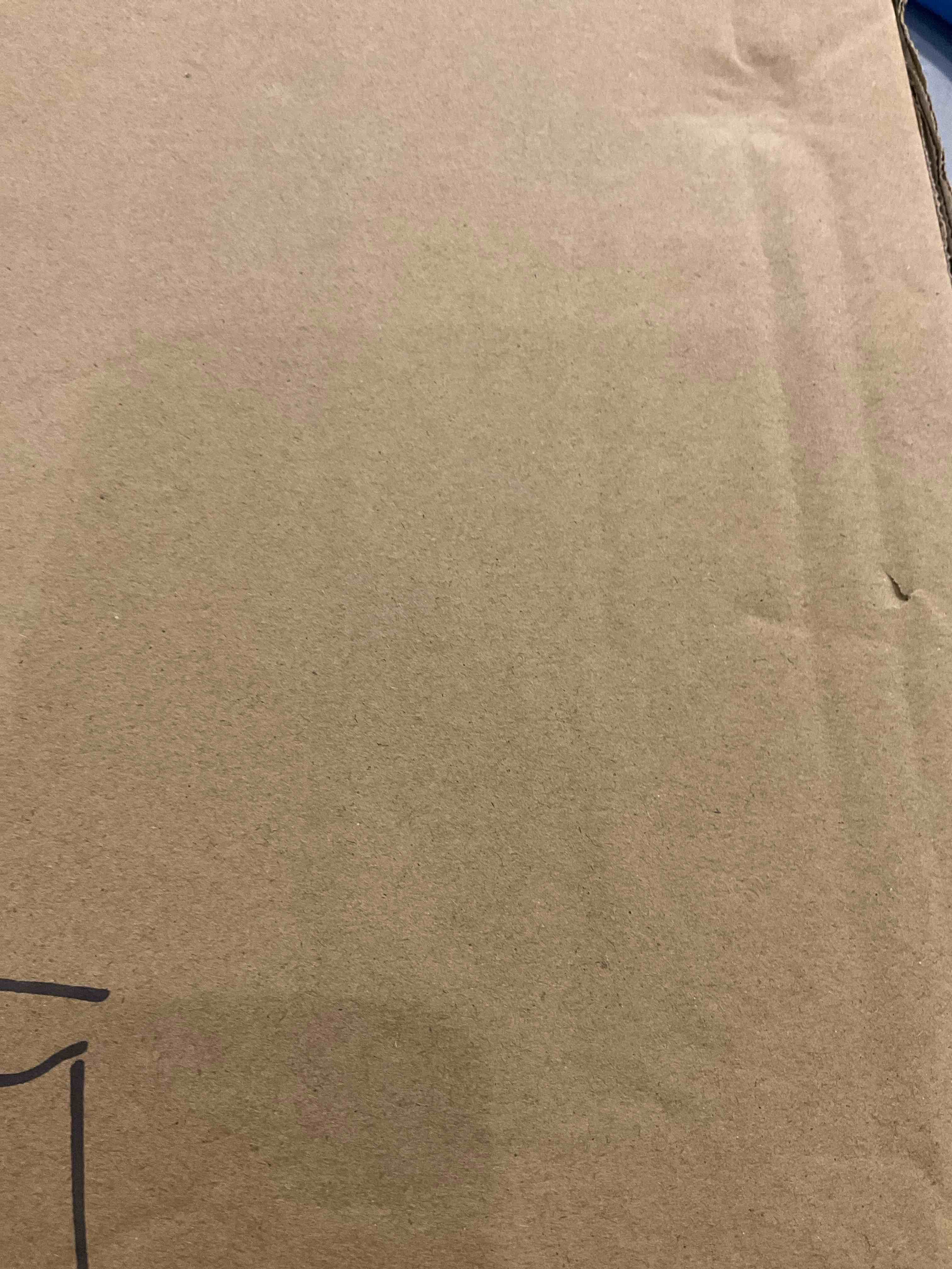 https://s3.amazonaws.com/lotting-images-prod/bidfta/EXS00509915_1702387920942.jpeg