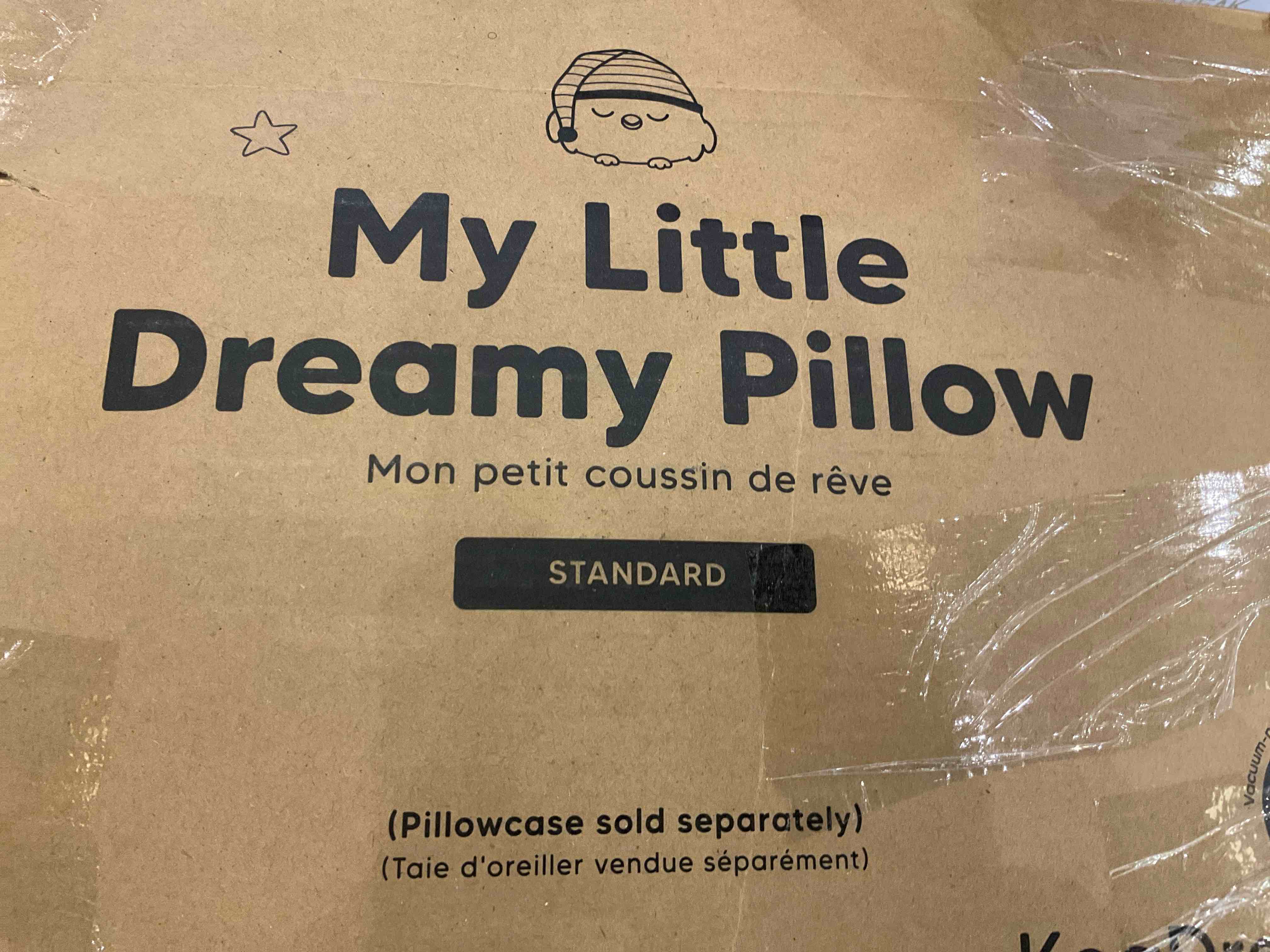 2-Pack Toddler Pillow - Soft Organic Cotton Toddler Pillows for Sleeping - 13X18 Small Pillow for Kids - Kids Pillows for Sleeping - Kids Pillow for Travel, School, Nap, Age 2 to 5 (Spacecrafts)