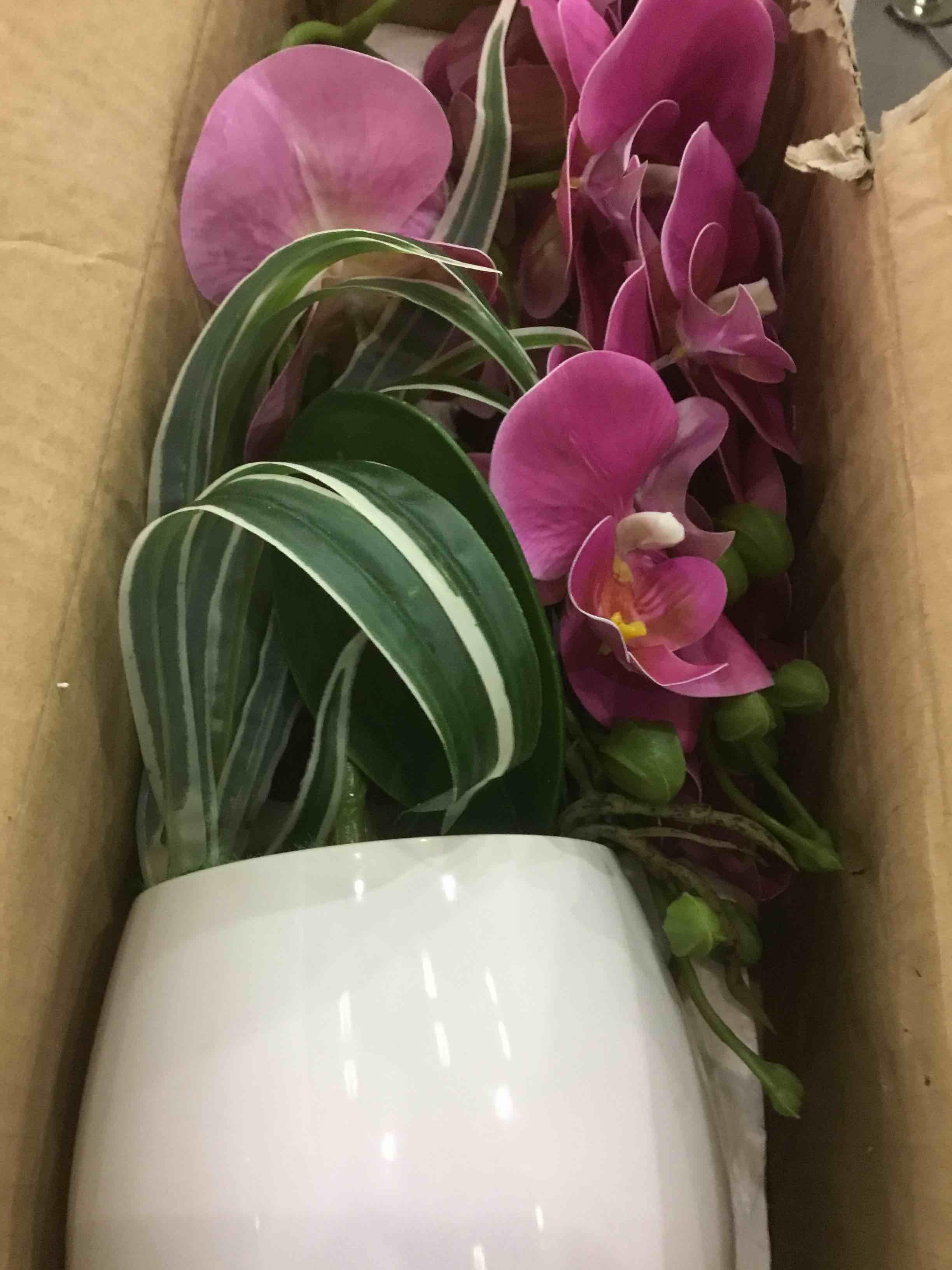 https://s3.amazonaws.com/lotting-images-prod/bidfta/EXS00557796_1694013975685.jpeg