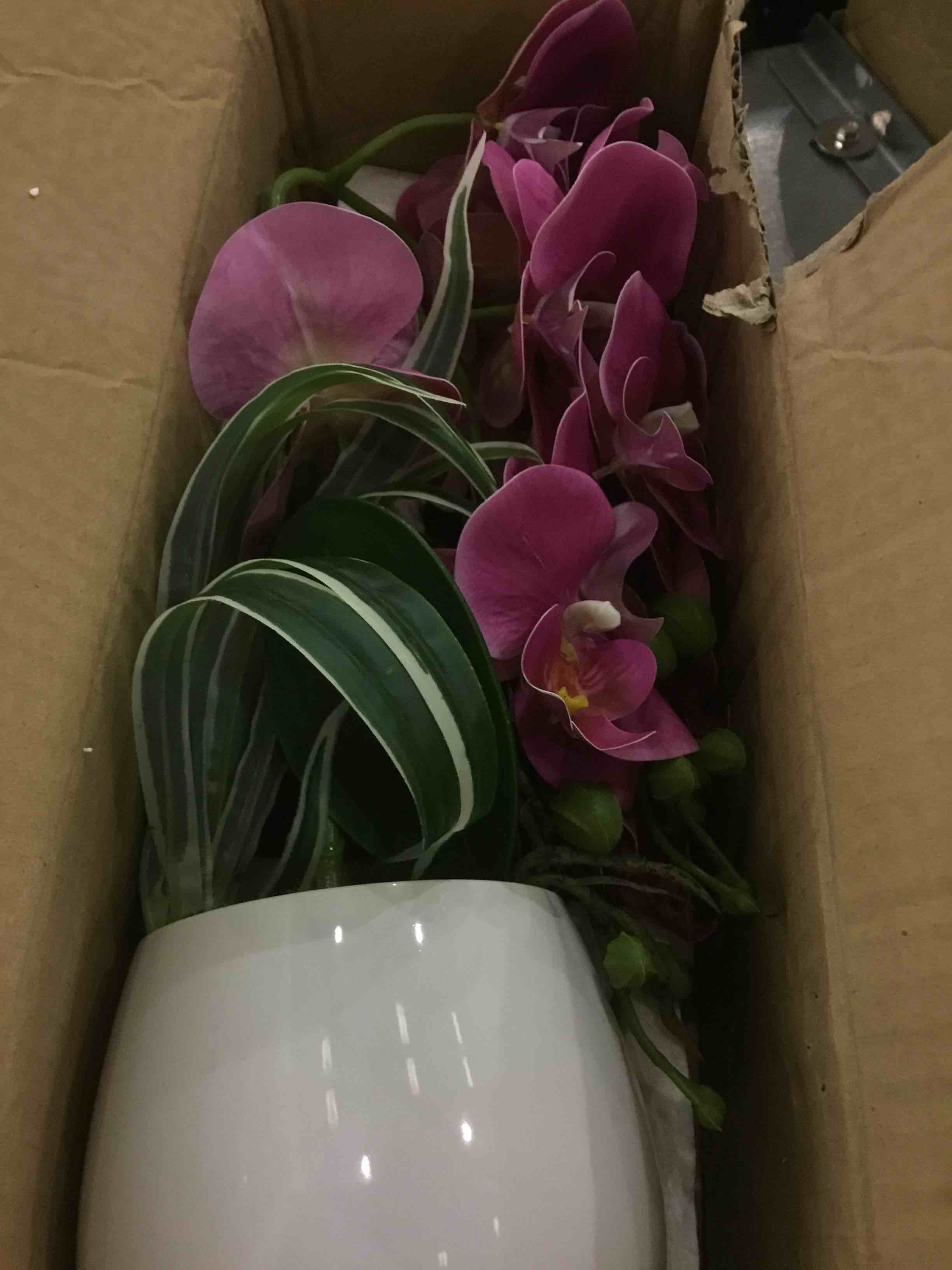 https://s3.amazonaws.com/lotting-images-prod/bidfta/EXS00557796_1694013976659.jpeg