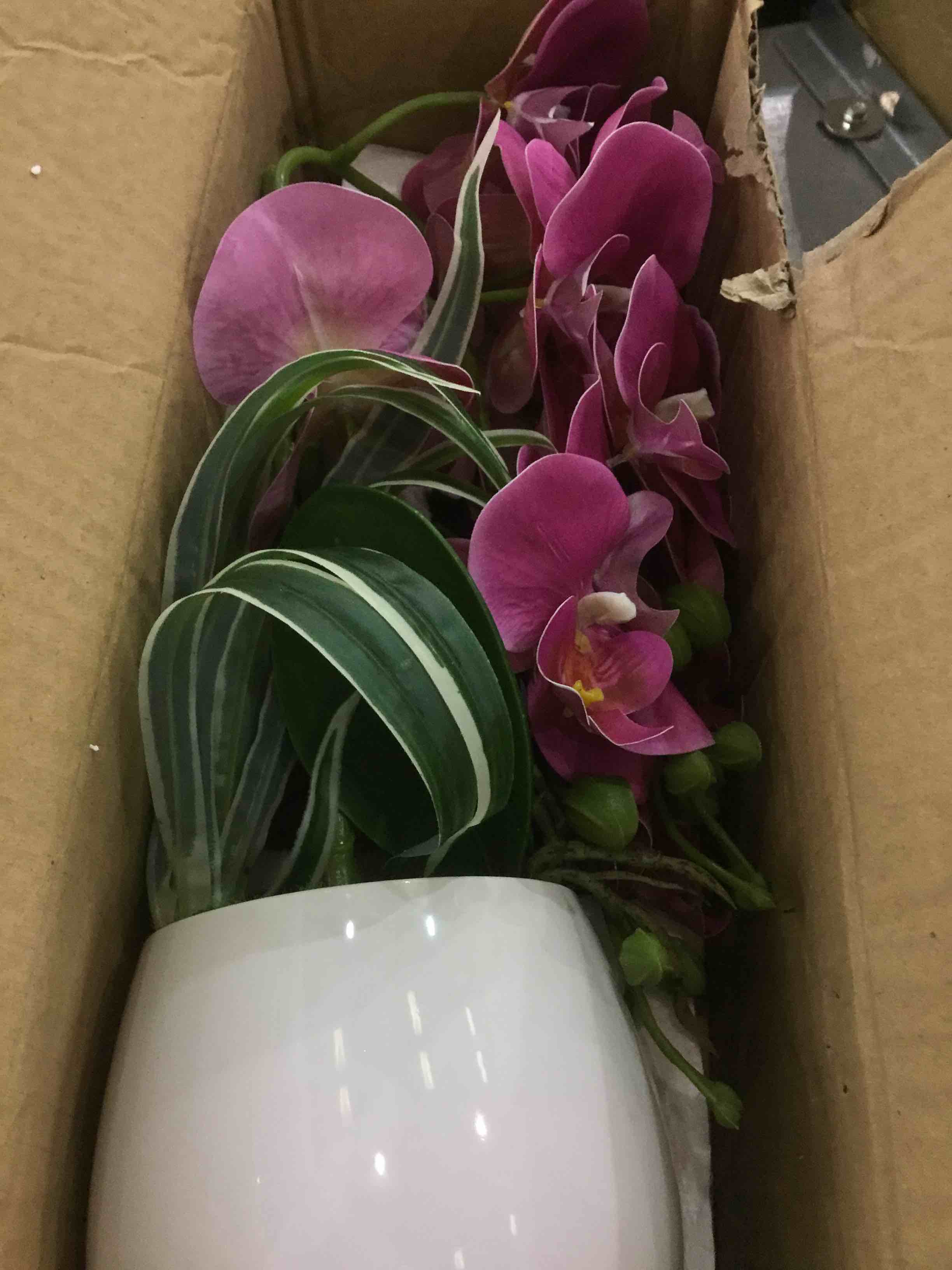 https://s3.amazonaws.com/lotting-images-prod/bidfta/EXS00557796_1694013977872.jpeg
