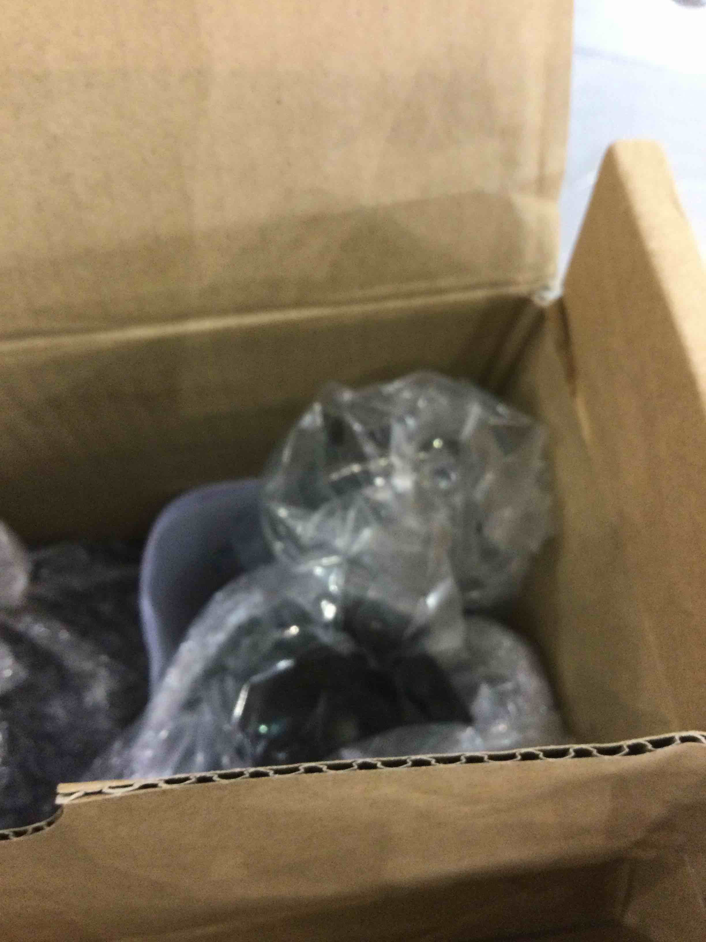 https://s3.amazonaws.com/lotting-images-prod/bidfta/EXS00562951_1700054448163.jpeg