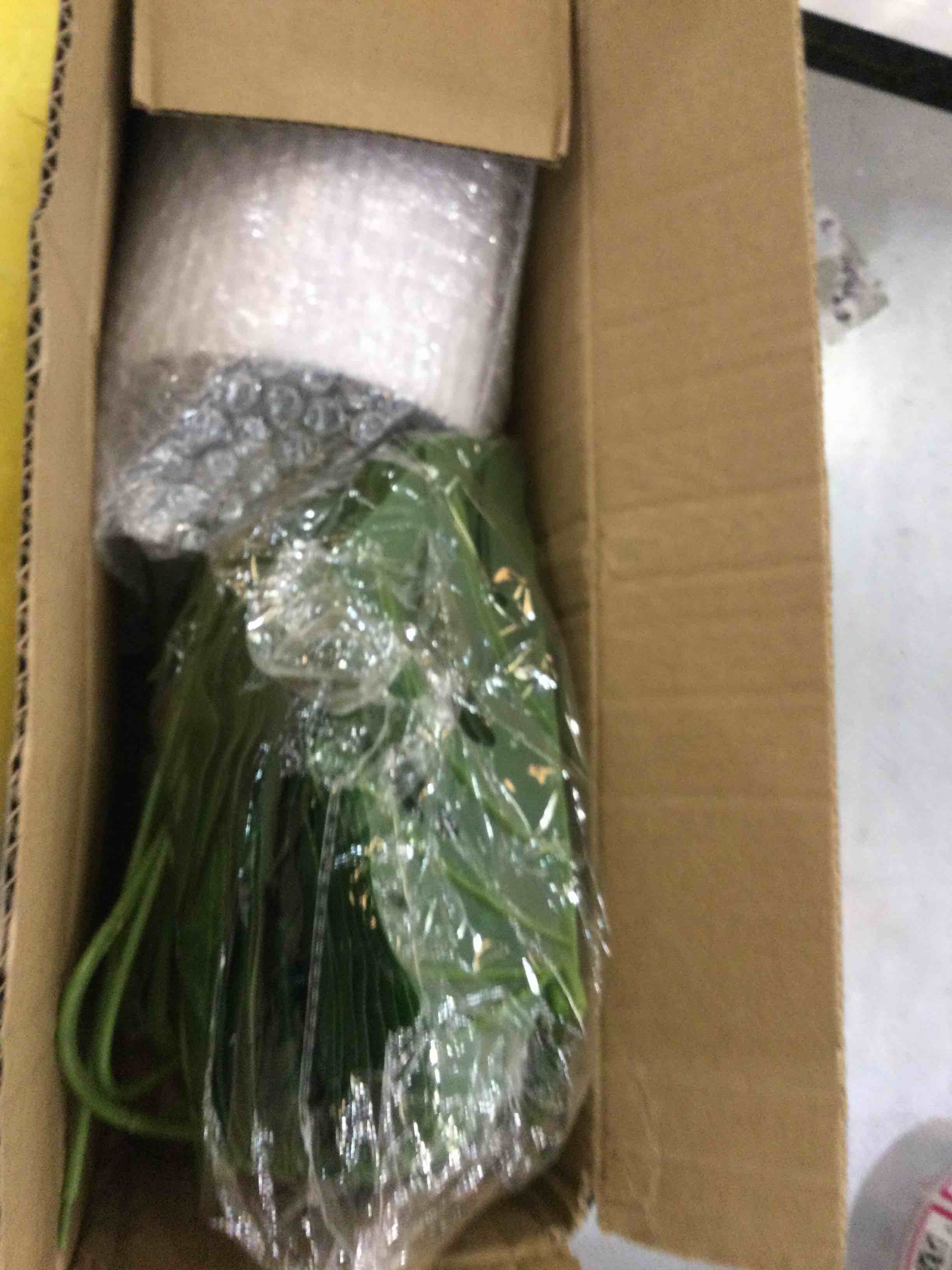 https://s3.amazonaws.com/lotting-images-prod/bidfta/EXS00570140_1694192410512.jpeg
