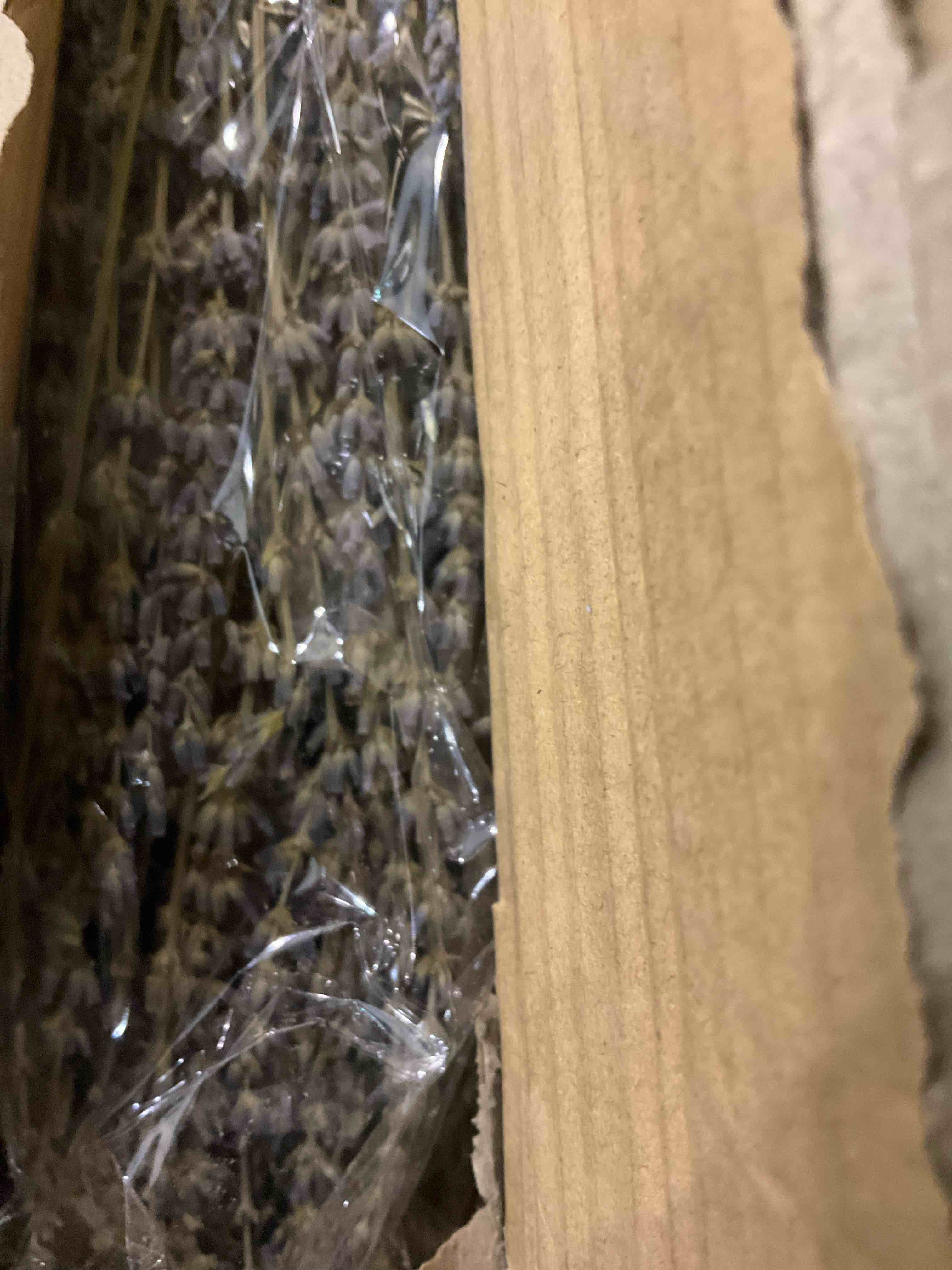 https://s3.amazonaws.com/lotting-images-prod/bidfta/EXS00605211_1698675209303.jpeg