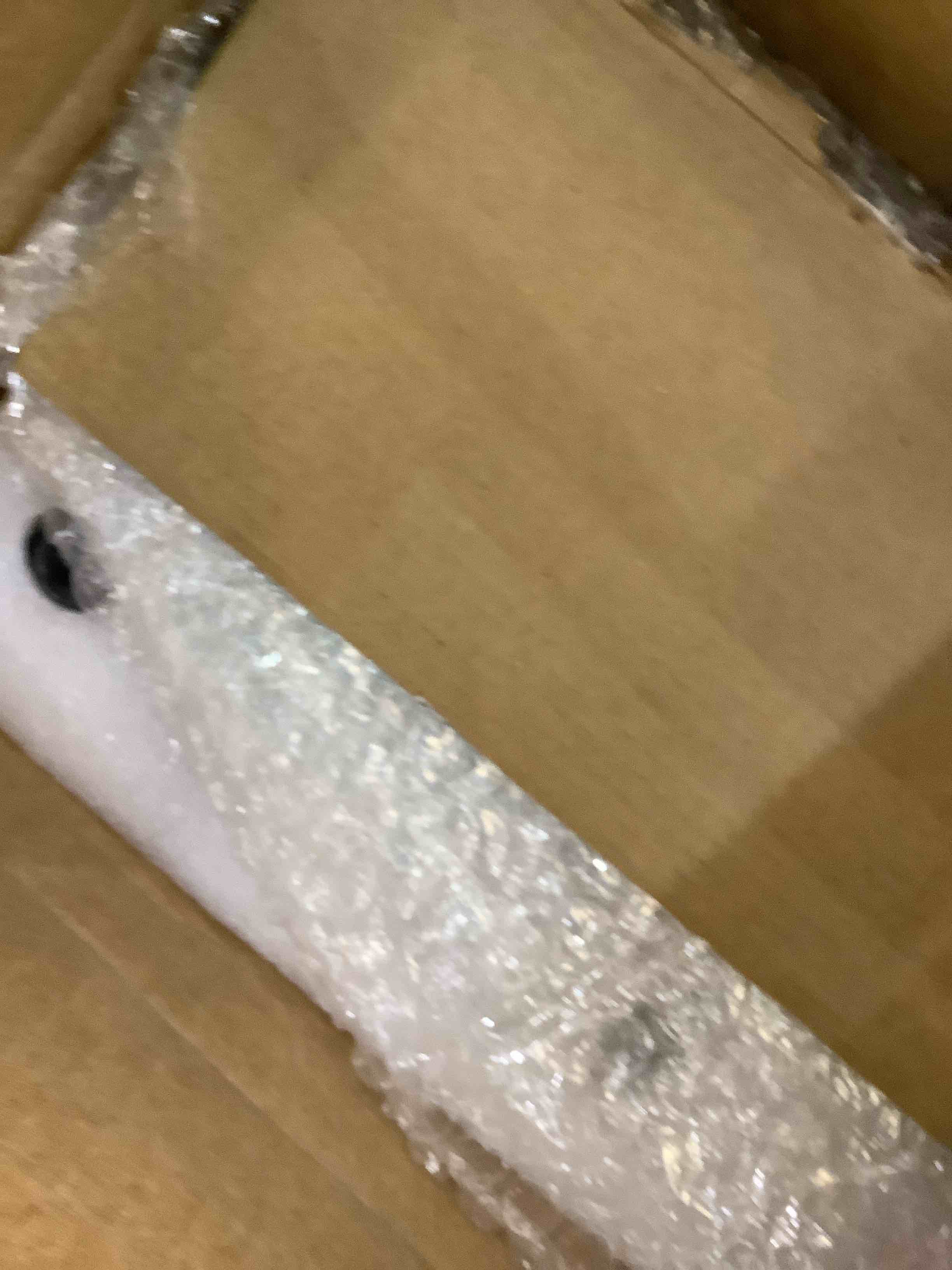 https://s3.amazonaws.com/lotting-images-prod/bidfta/EXS00627695_1695149135721.jpeg