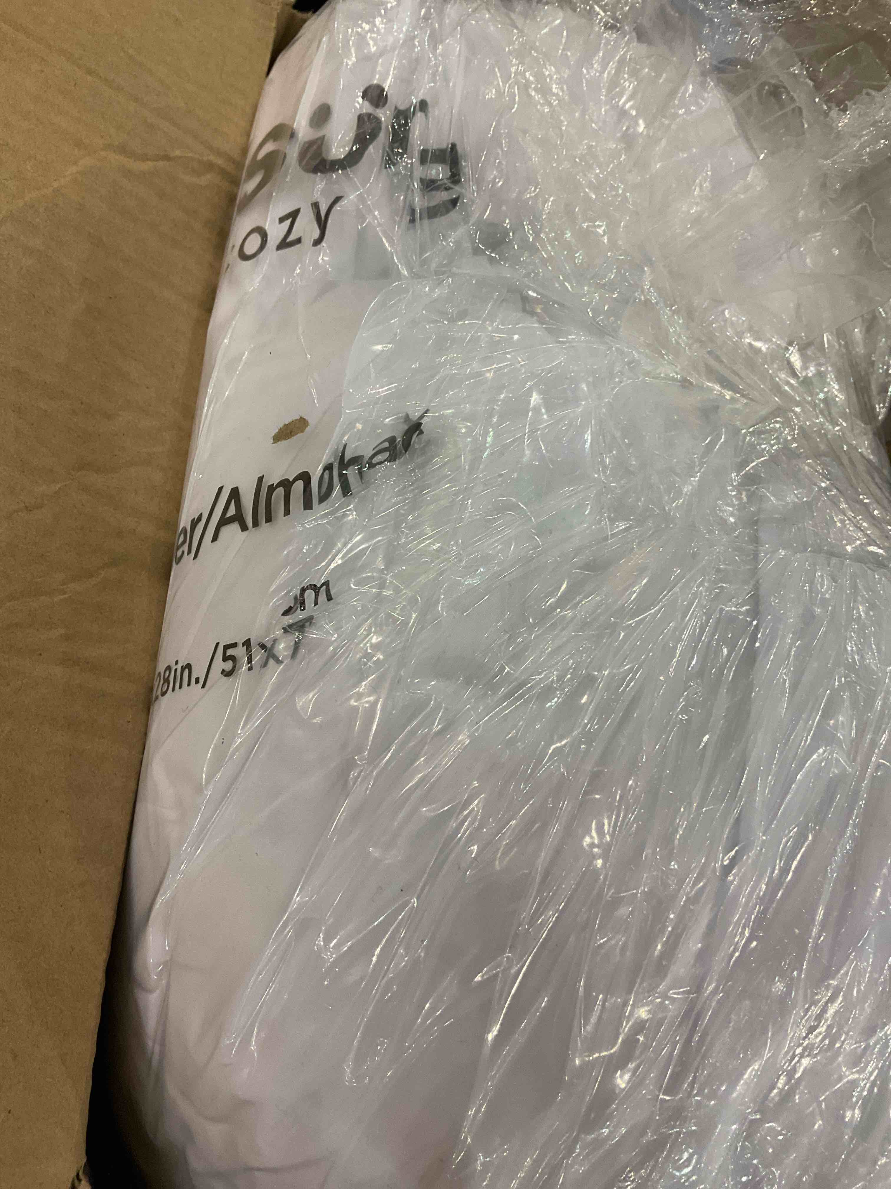 https://s3.amazonaws.com/lotting-images-prod/bidfta/EXS00678330_1704467988659.jpeg