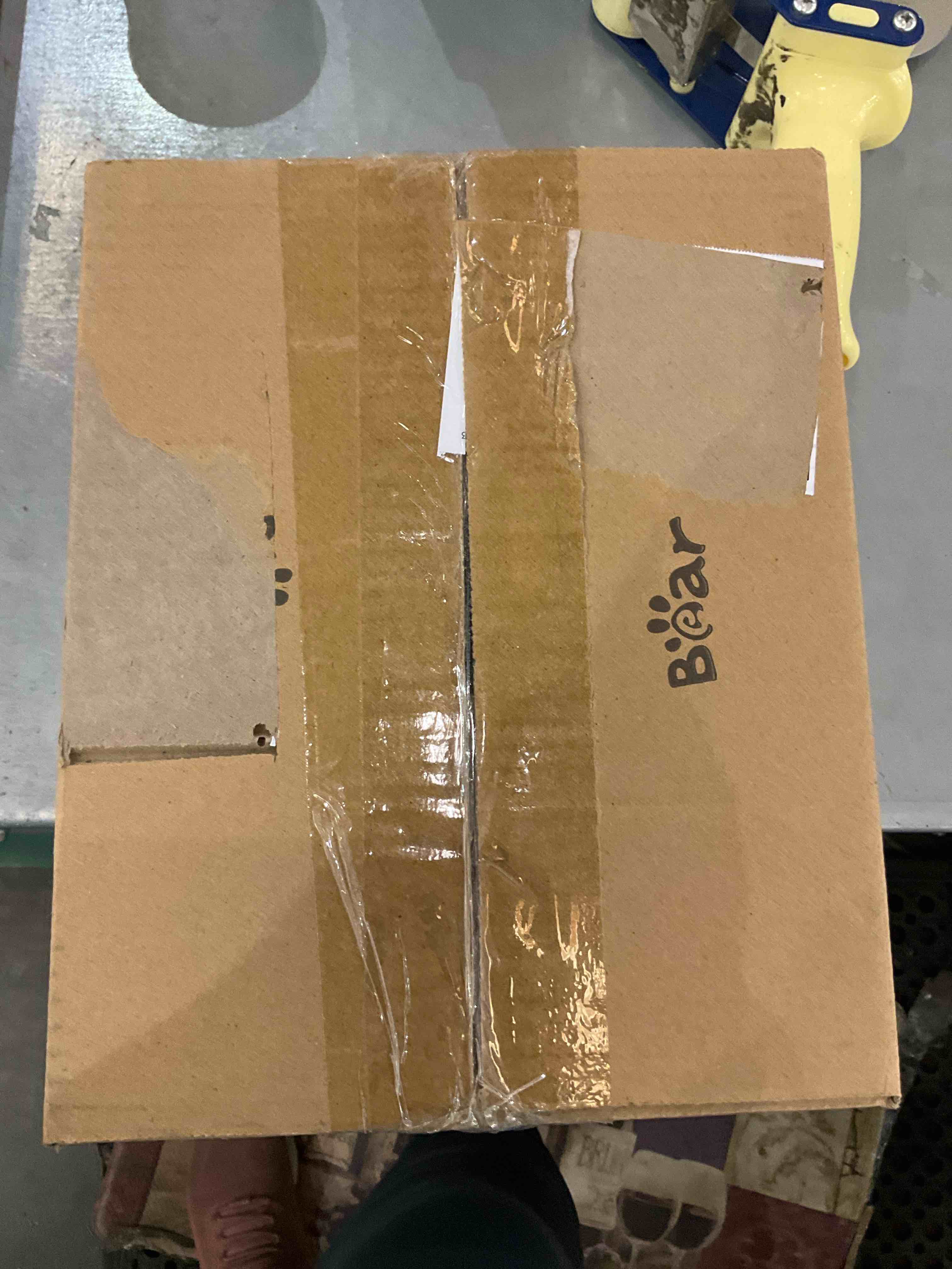 boar garment steamer 