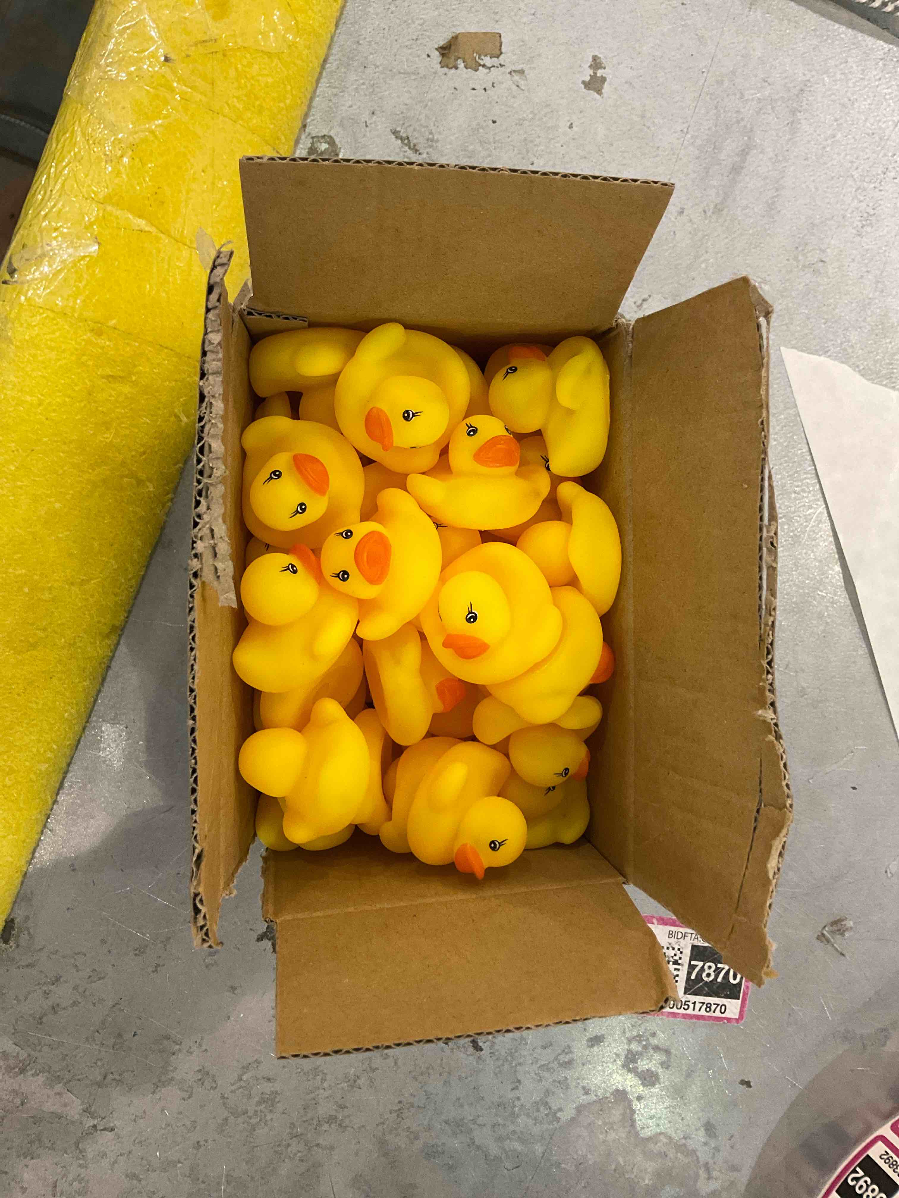 https://s3.amazonaws.com/lotting-images-prod/bidfta/EXS00683886_1697723529186.jpeg