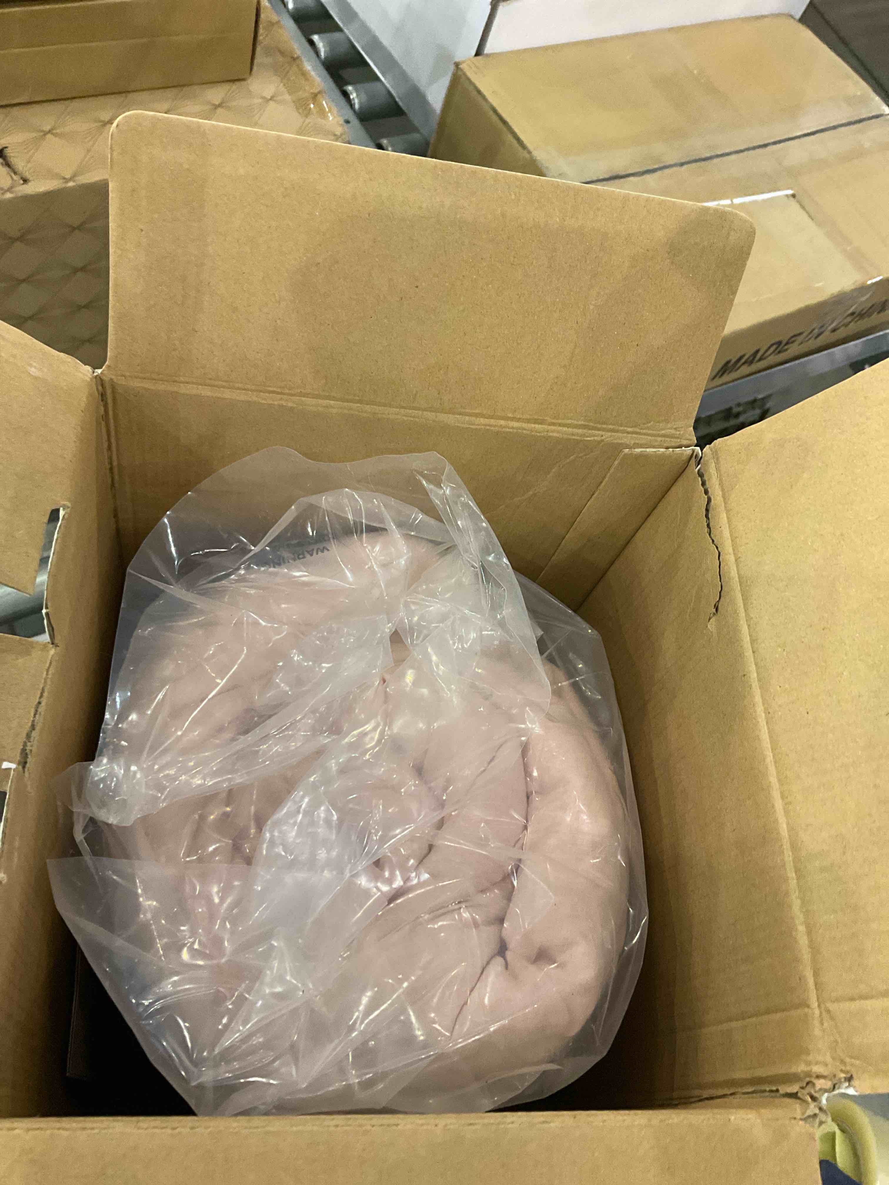 https://s3.amazonaws.com/lotting-images-prod/bidfta/EXS00724059_1703771660751.jpeg