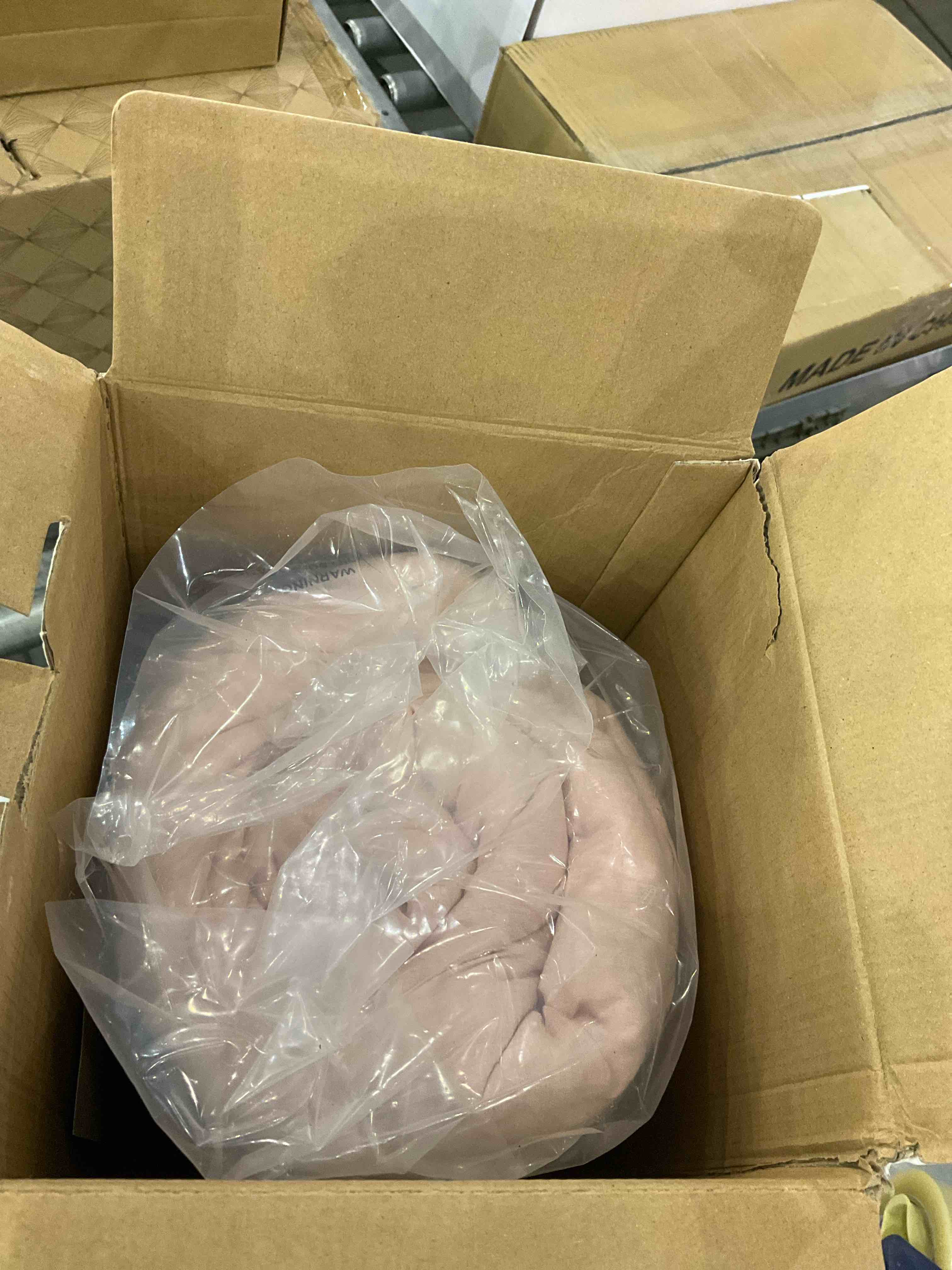 https://s3.amazonaws.com/lotting-images-prod/bidfta/EXS00724059_1703771661702.jpeg