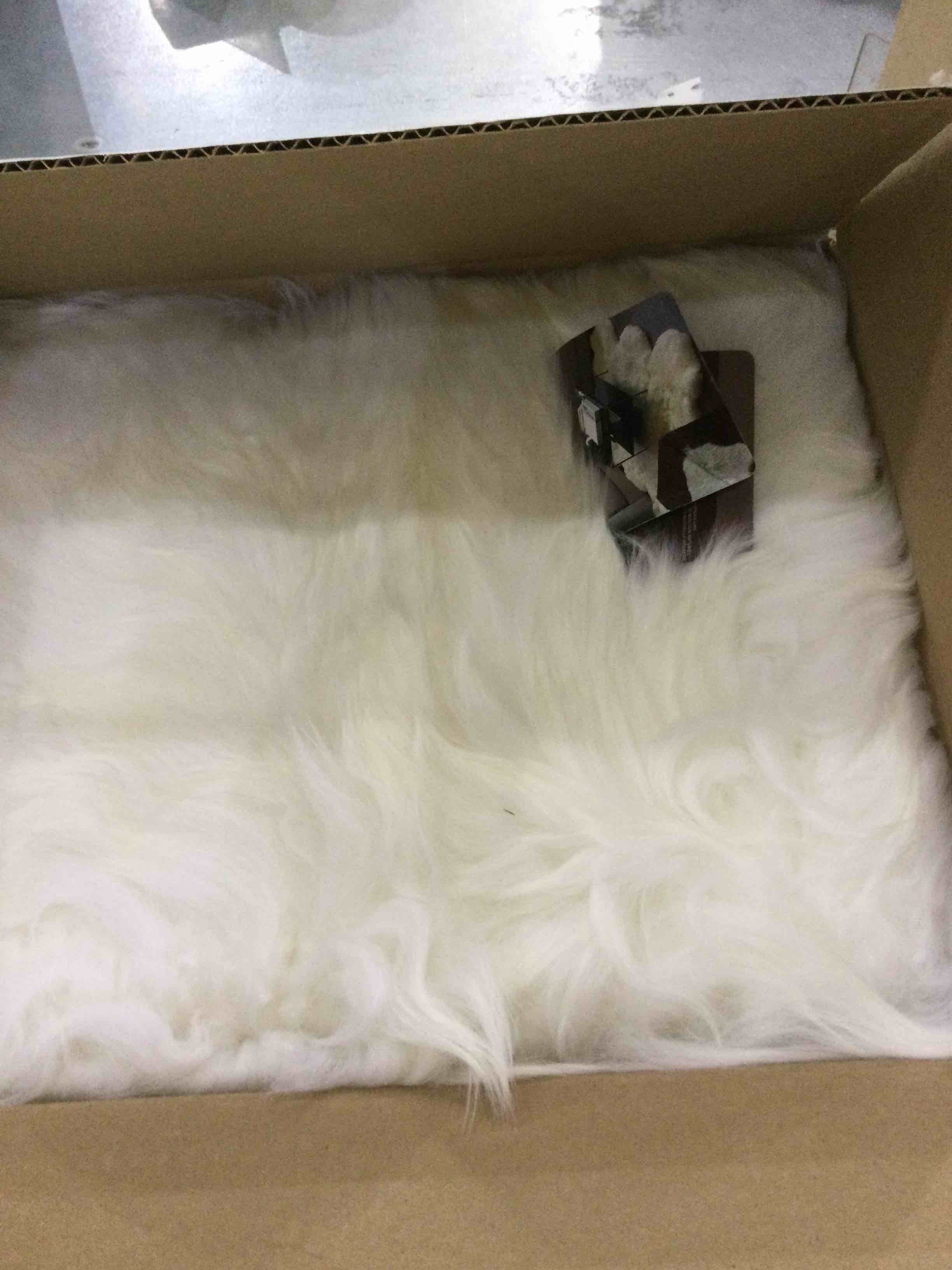 https://s3.amazonaws.com/lotting-images-prod/bidfta/EXS00725362_1703692670428.jpeg