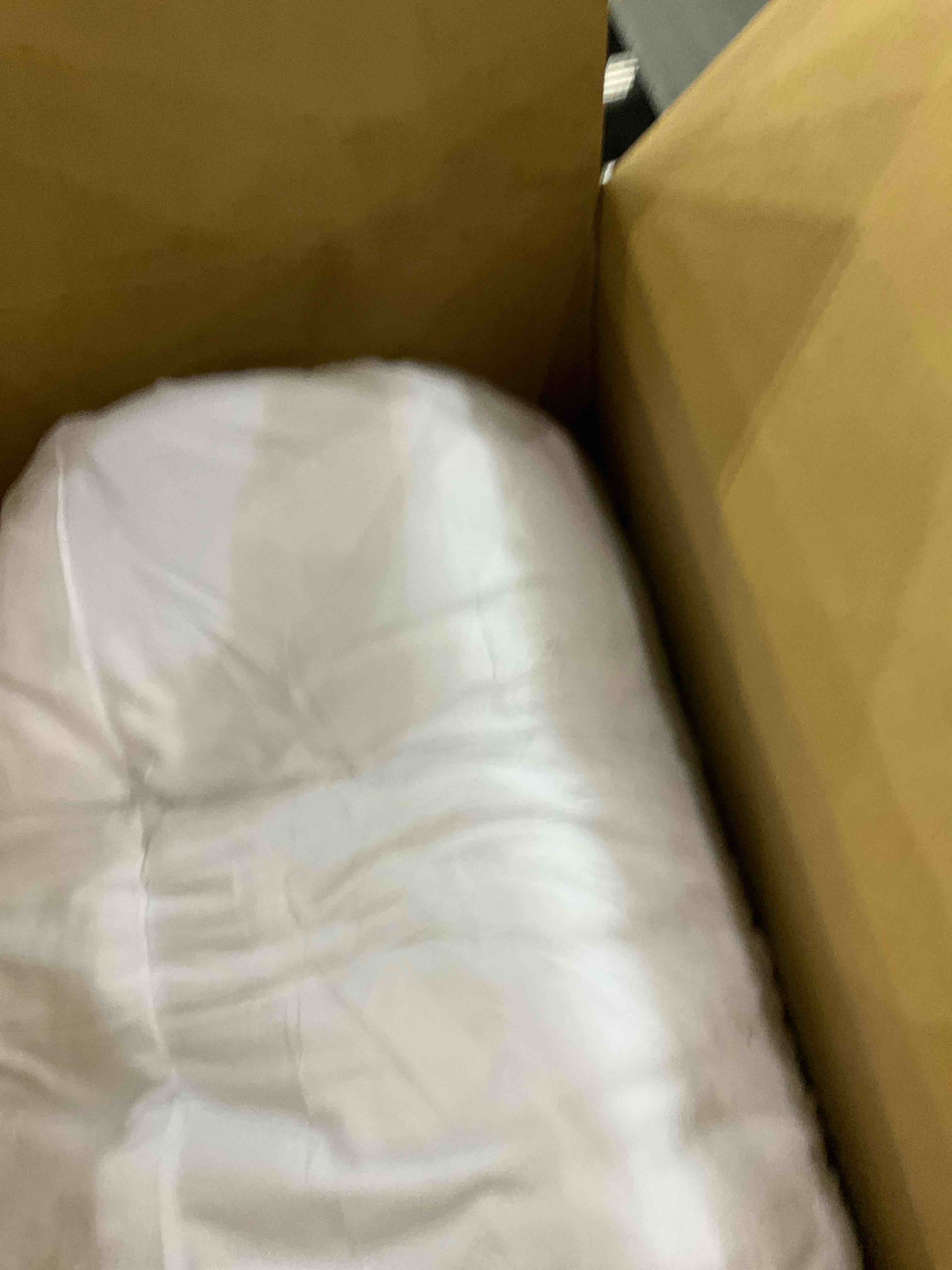 https://s3.amazonaws.com/lotting-images-prod/bidfta/EXS00730275_1702989630261.jpeg