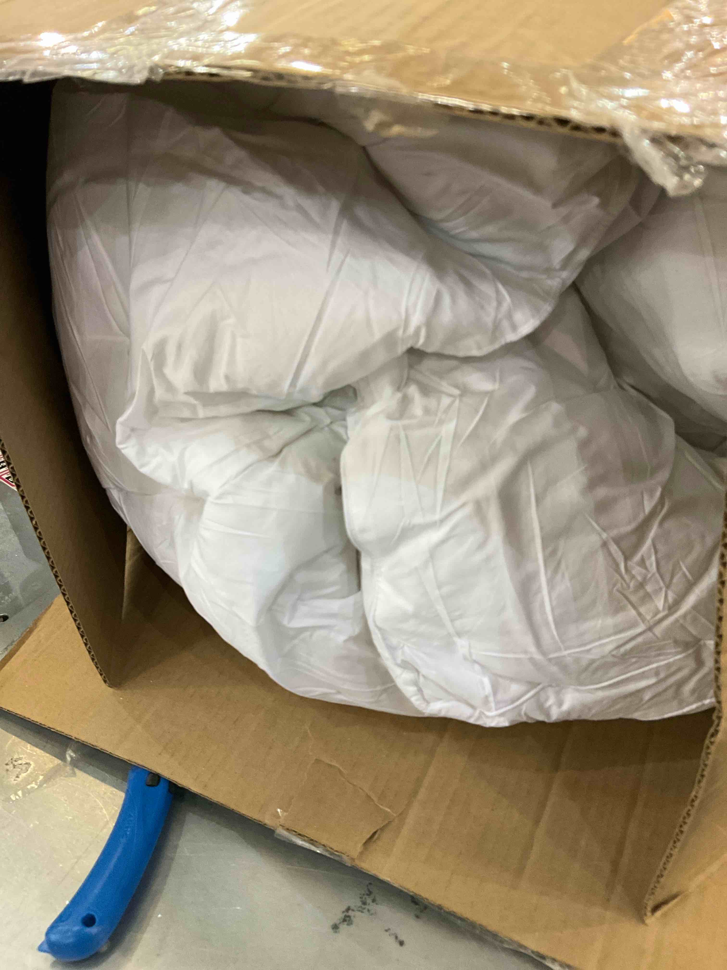 https://s3.amazonaws.com/lotting-images-prod/bidfta/EXS00739121_1702927889376.jpeg