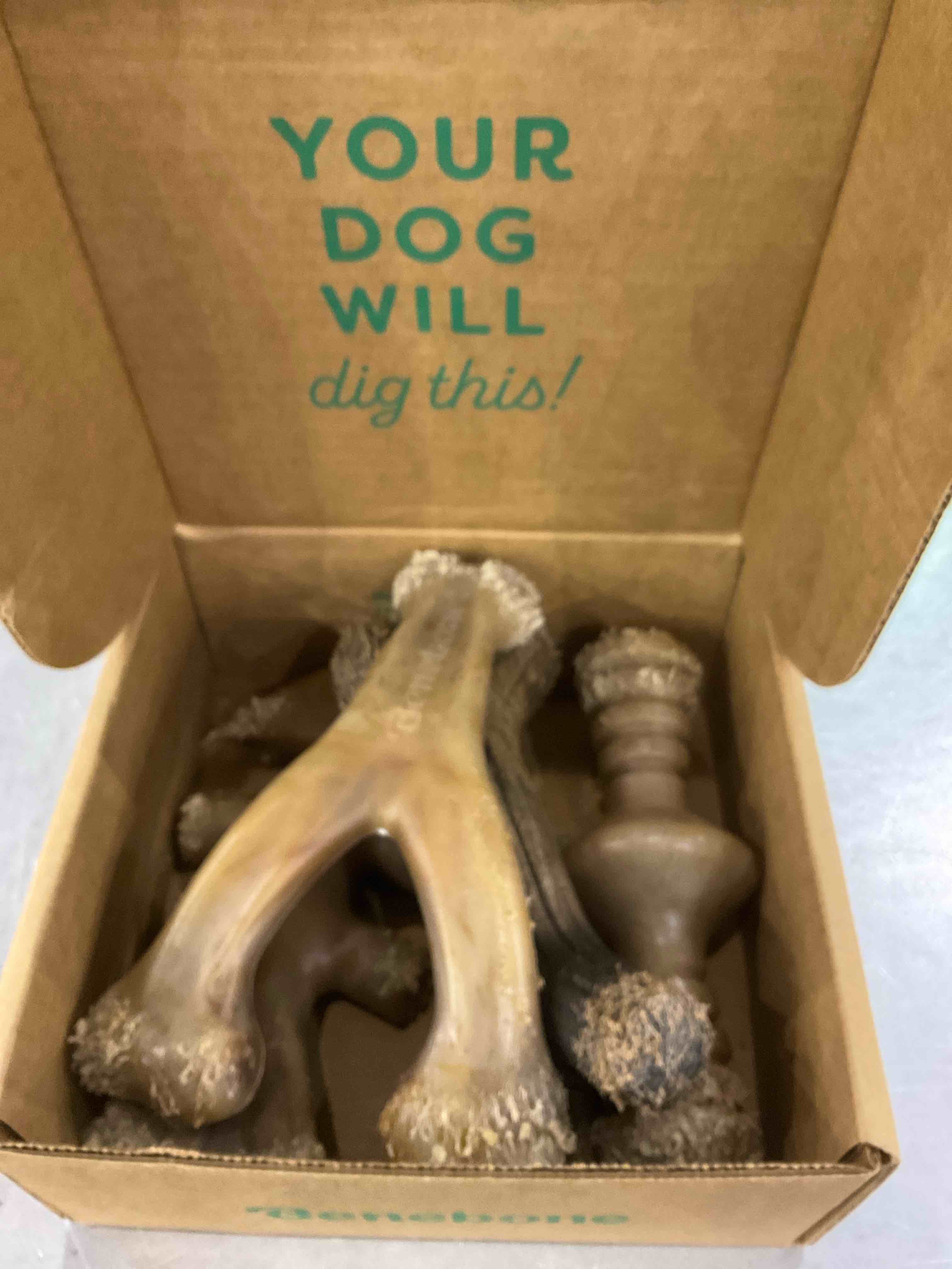 Benebone Large Holiday 4-Pack Dog Chew Toys for Aggressive Chewers, Made in USA, 60lbs and Under