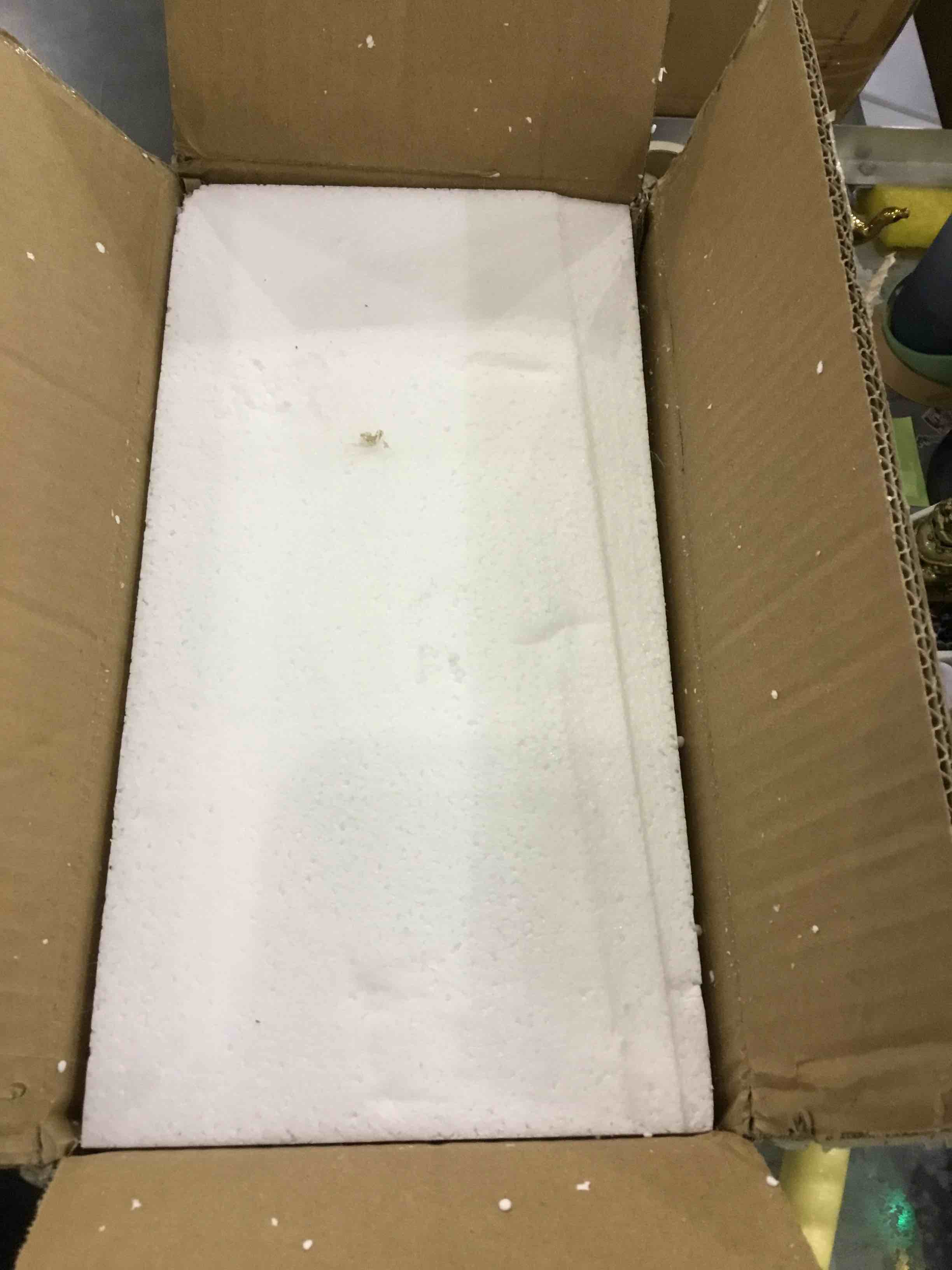 https://s3.amazonaws.com/lotting-images-prod/bidfta/EXS00757127_1703102672483.jpeg