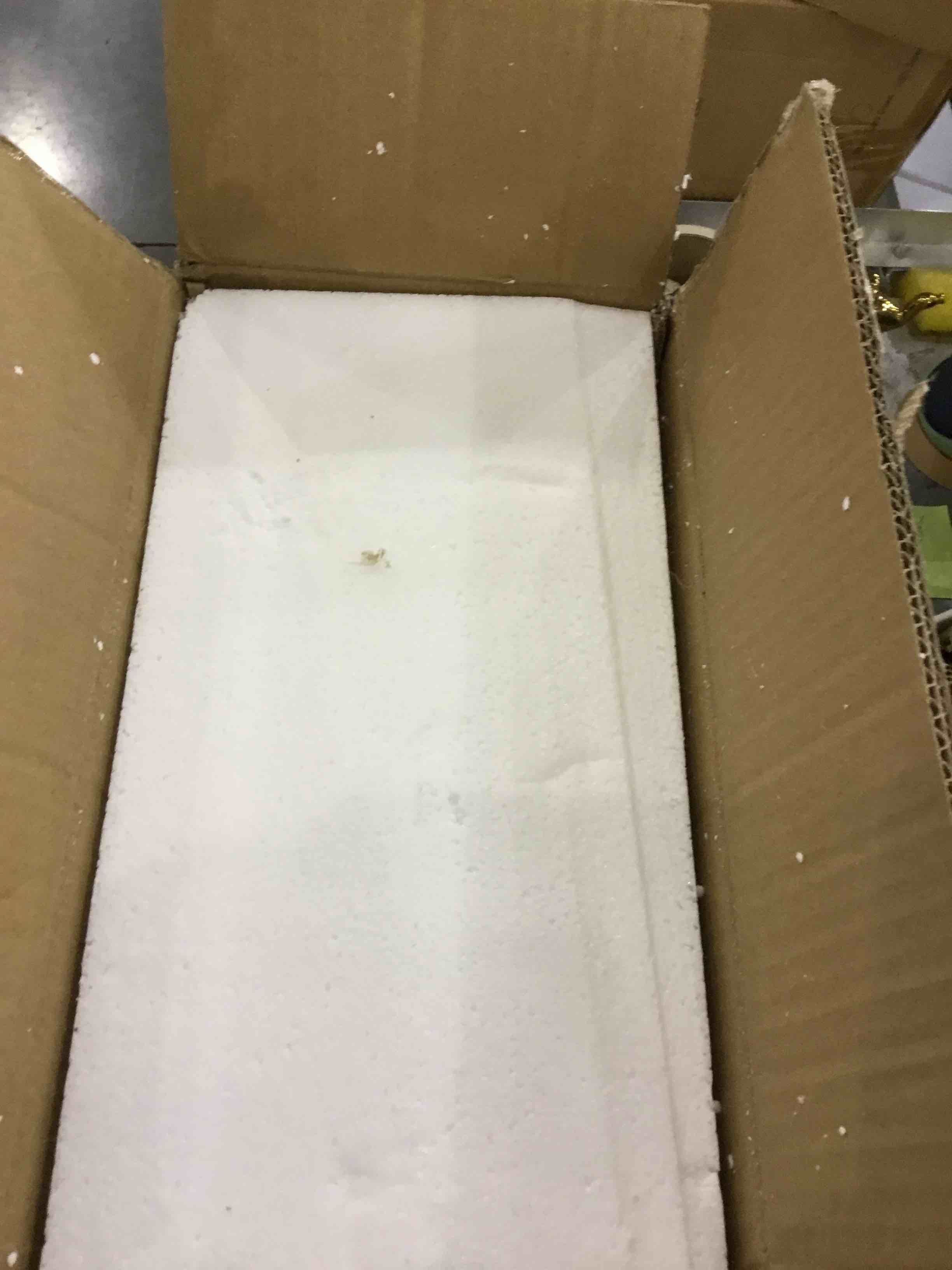 https://s3.amazonaws.com/lotting-images-prod/bidfta/EXS00757127_1703102674056.jpeg