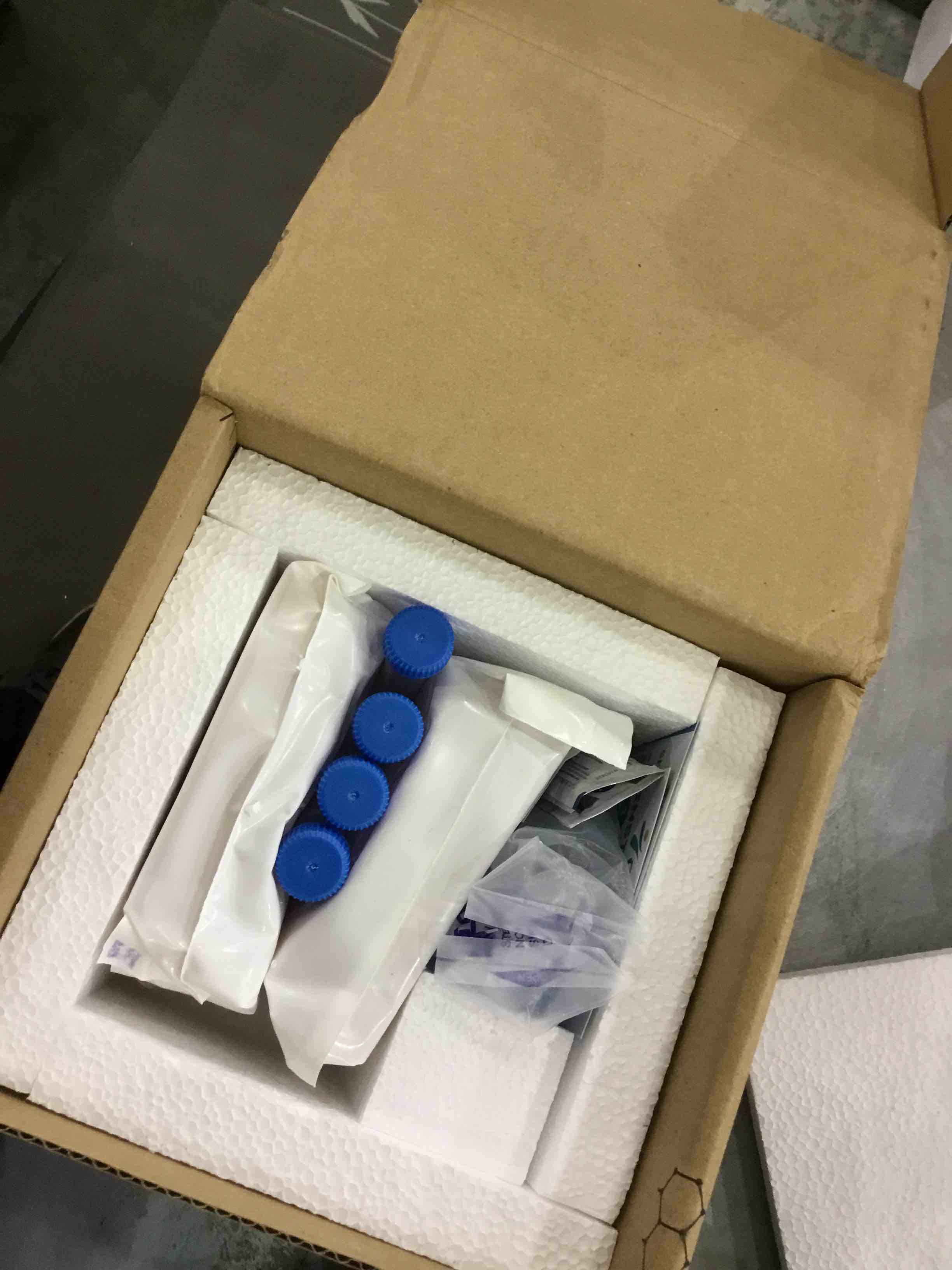 https://s3.amazonaws.com/lotting-images-prod/bidfta/EXS00757210_1703173686397.jpeg