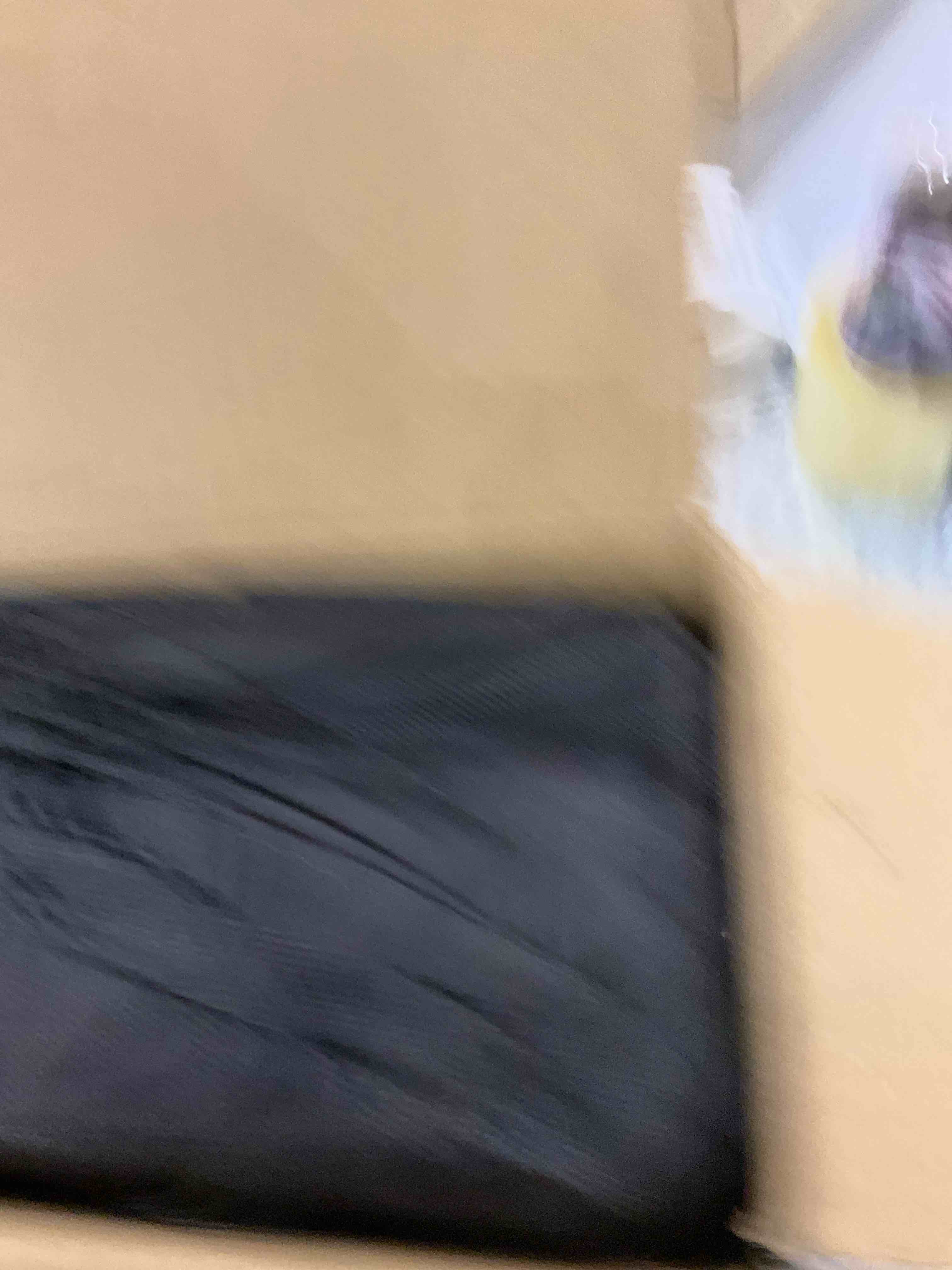 https://s3.amazonaws.com/lotting-images-prod/bidfta/EXS00773152_1701347274682.jpeg