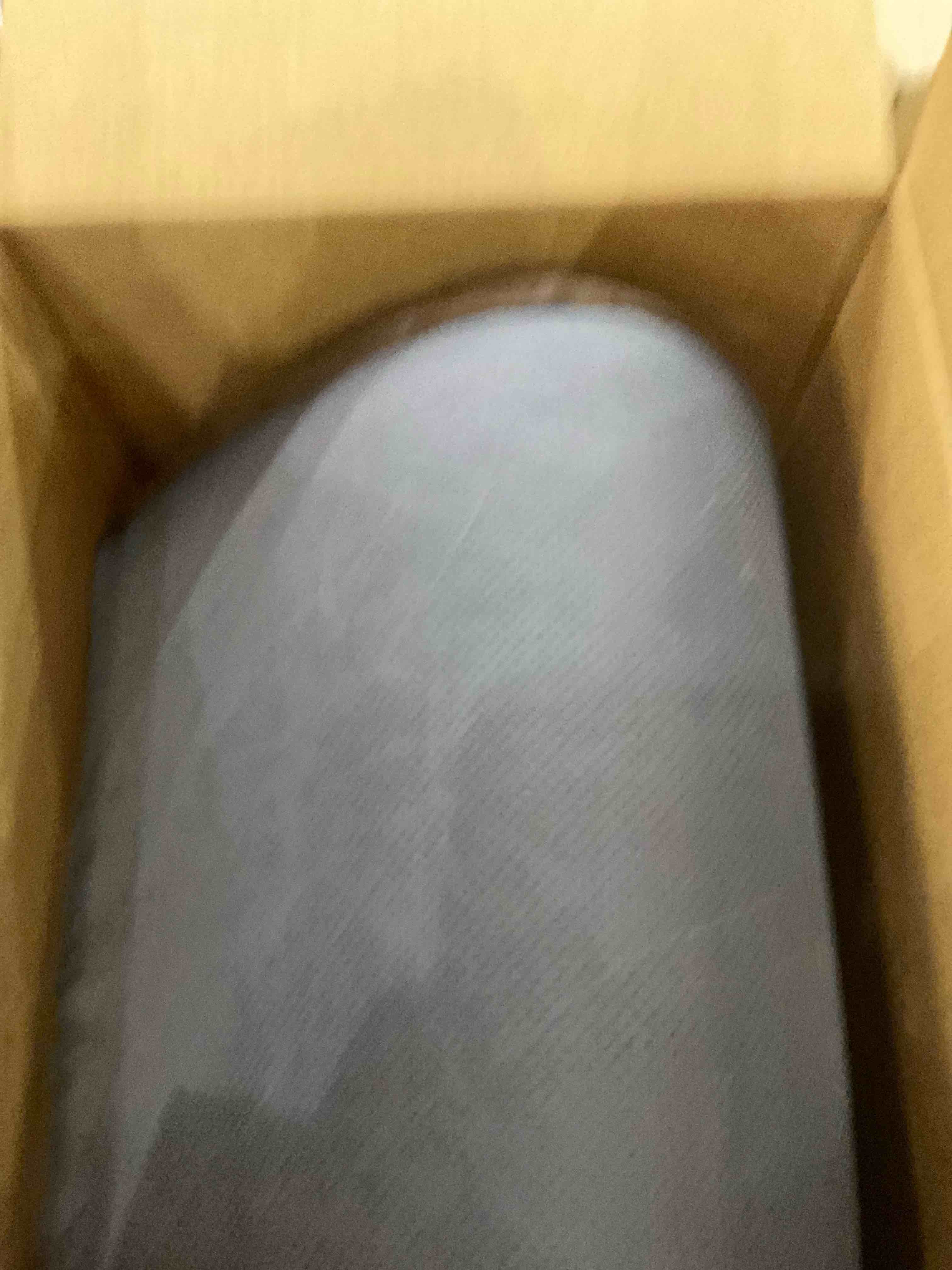 https://s3.amazonaws.com/lotting-images-prod/bidfta/EXS00780607_1701704685821.jpeg