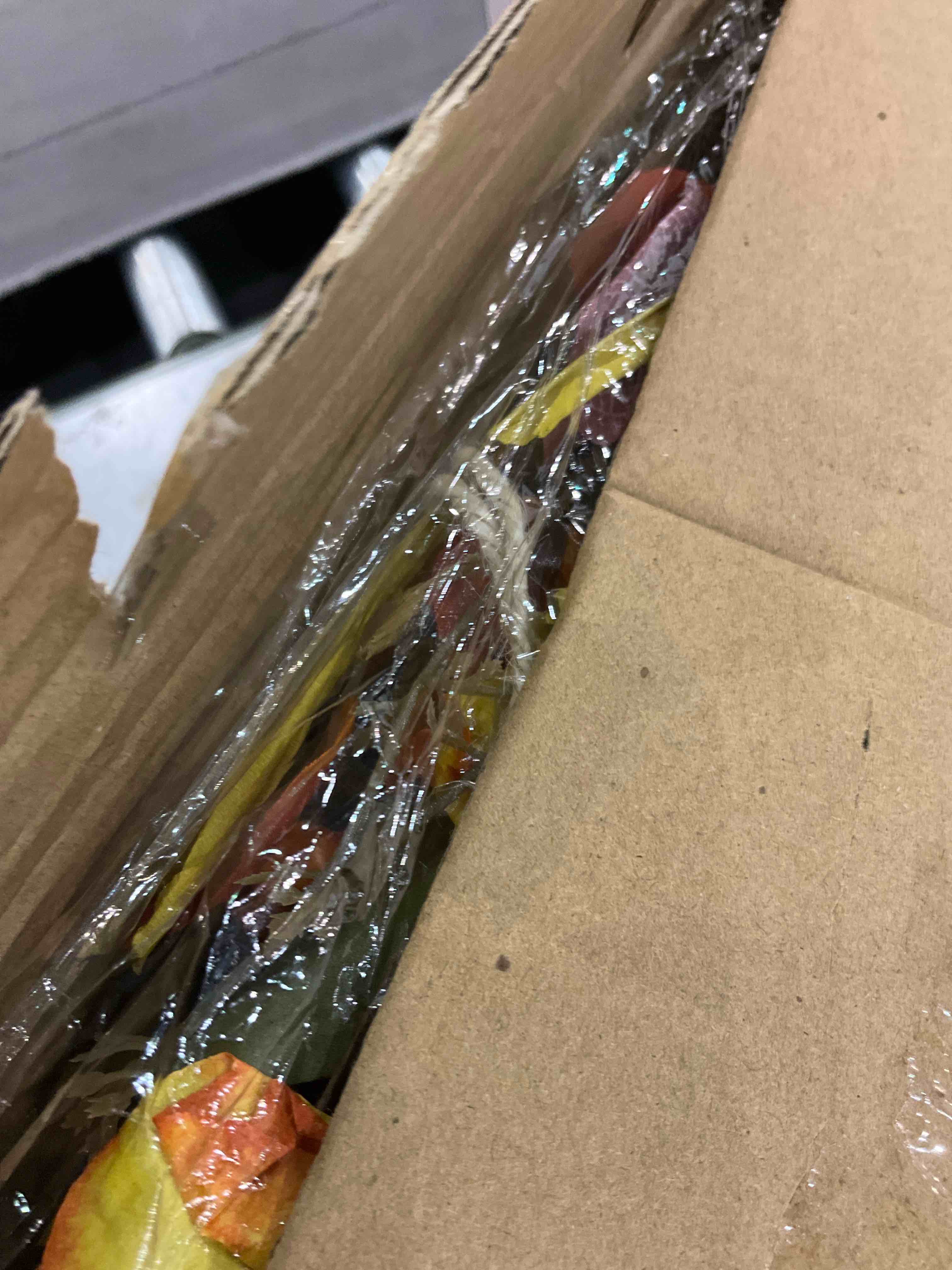 https://s3.amazonaws.com/lotting-images-prod/bidfta/EXS00791606_1701173605465.jpeg