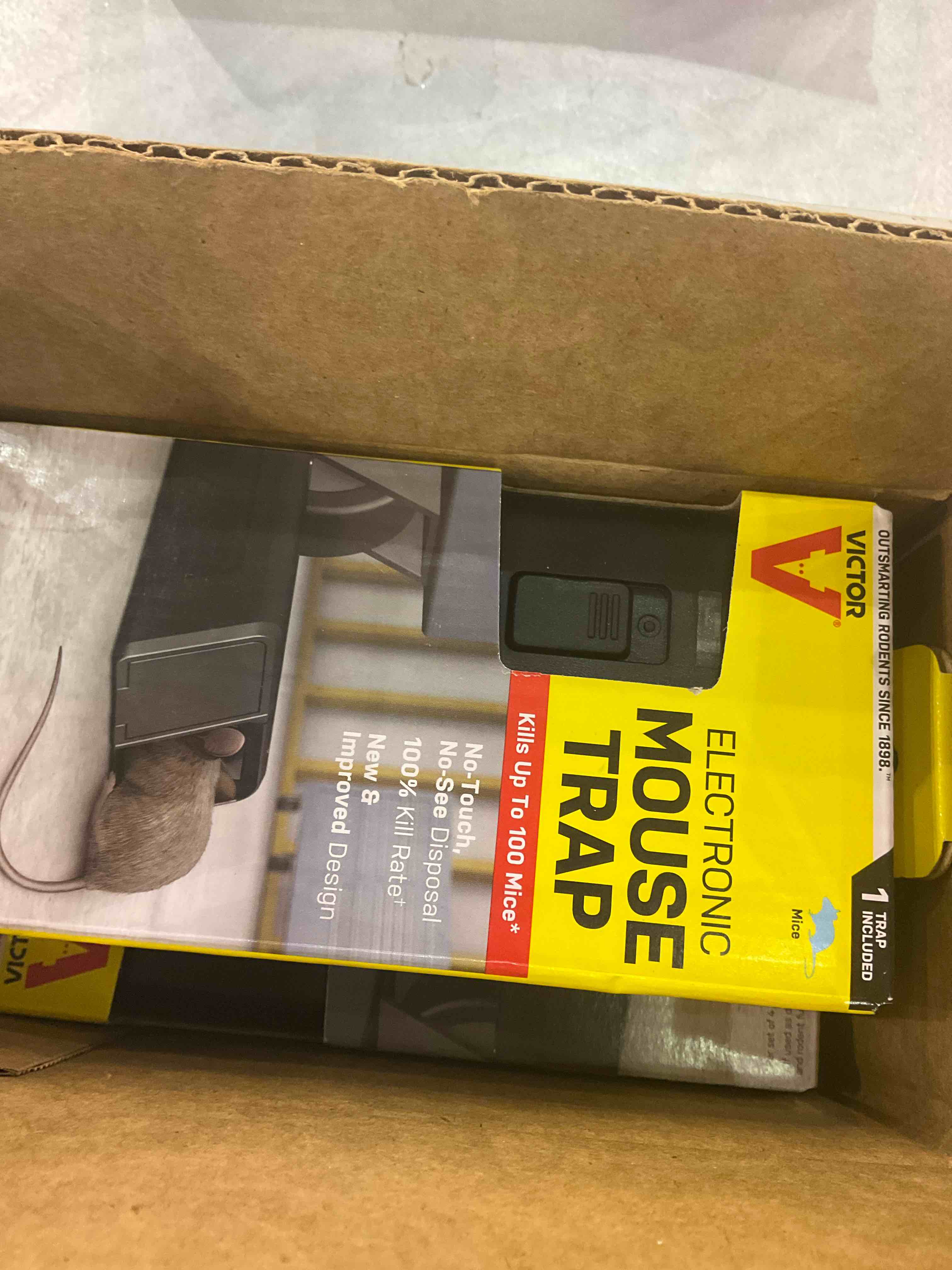 https://s3.amazonaws.com/lotting-images-prod/bidfta/EXS00804277_1700241221295.jpeg