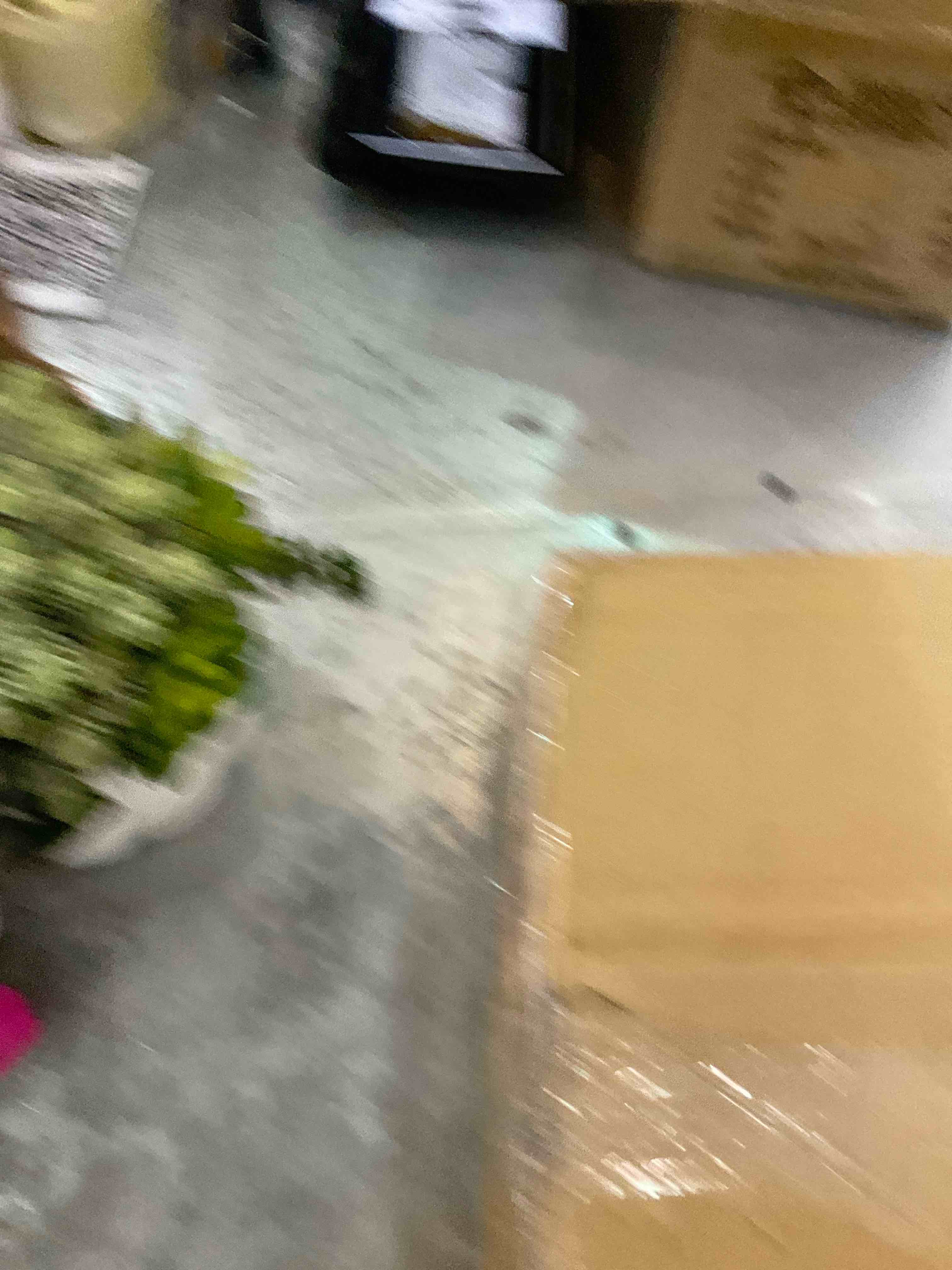 https://s3.amazonaws.com/lotting-images-prod/bidfta/EXS00806205_1699295893734.jpeg